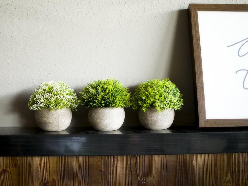 Artificial Plastic Mini Plants Unique Fake Fresh Green Grass Flower / White & Green / Set of 3