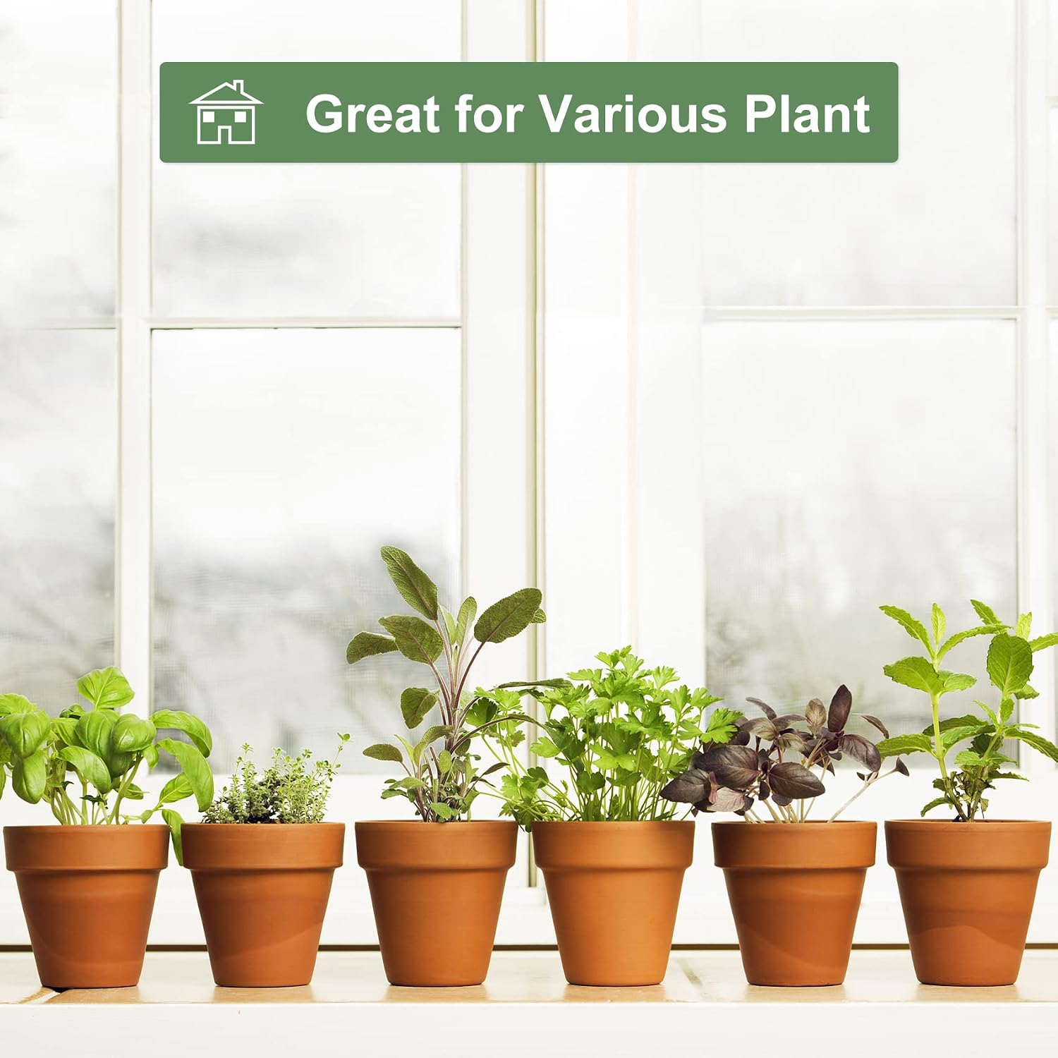 Tray / Flower Pots / 4 Inch / Set of 6