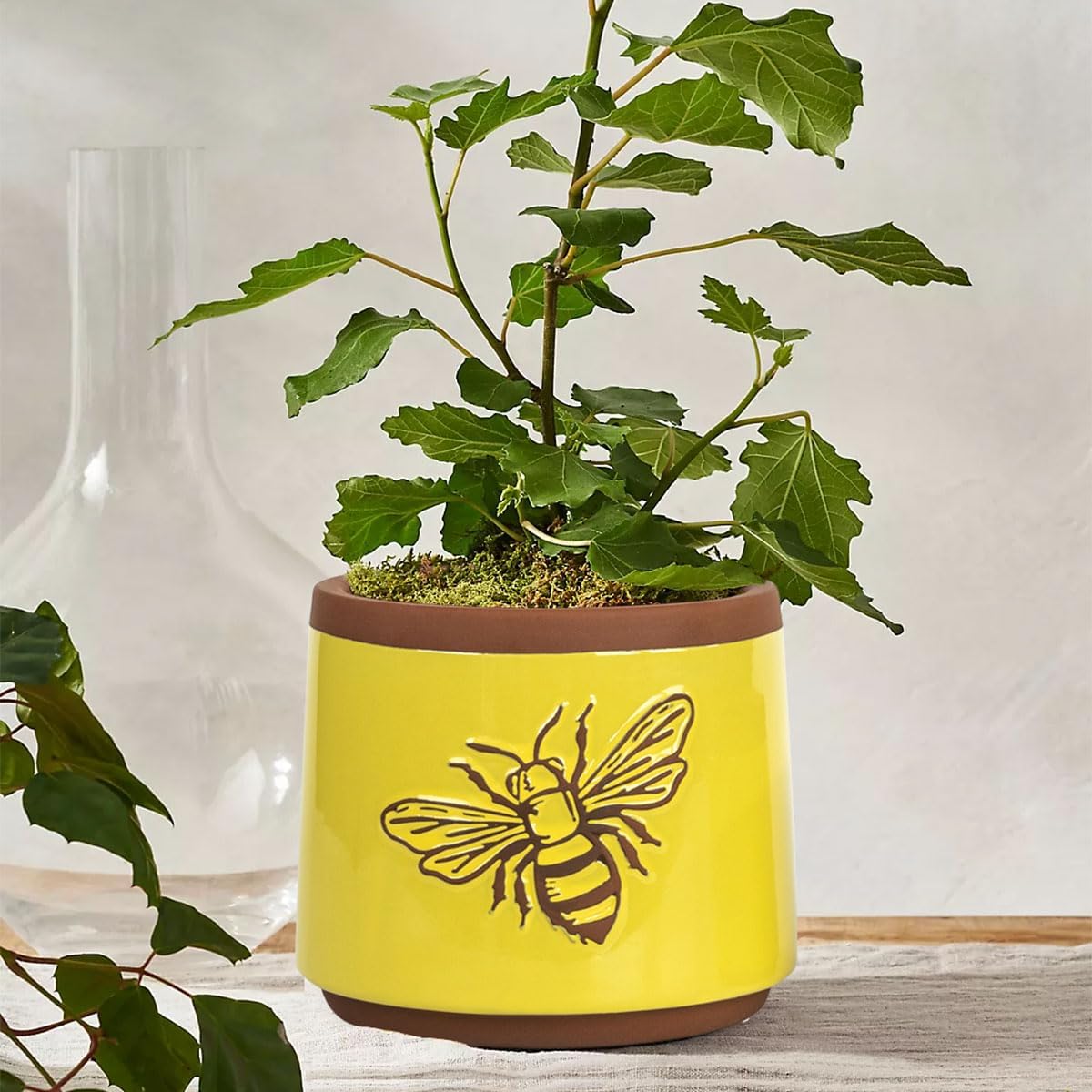 YBX Terracotta Pots / 6+4 Inch / Yellow