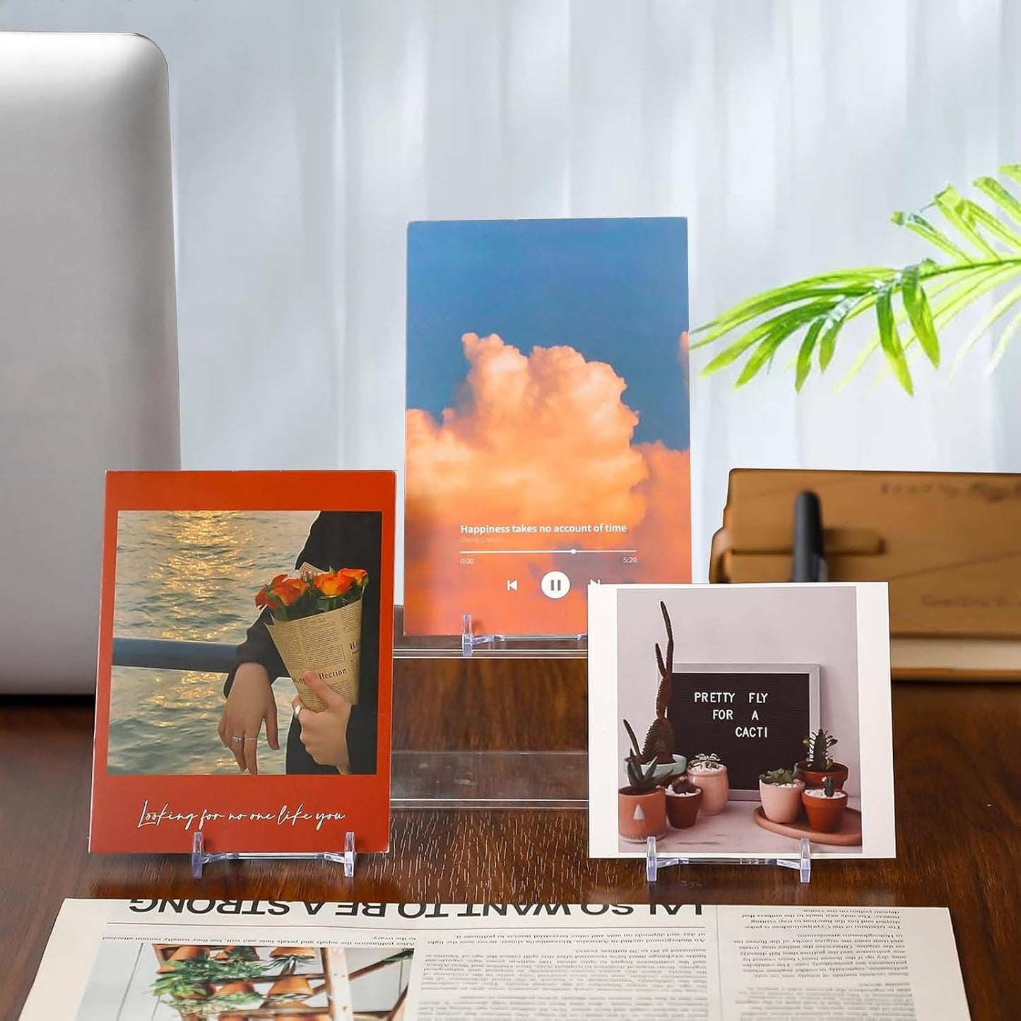 Adjustable Acrylic Plate Stand