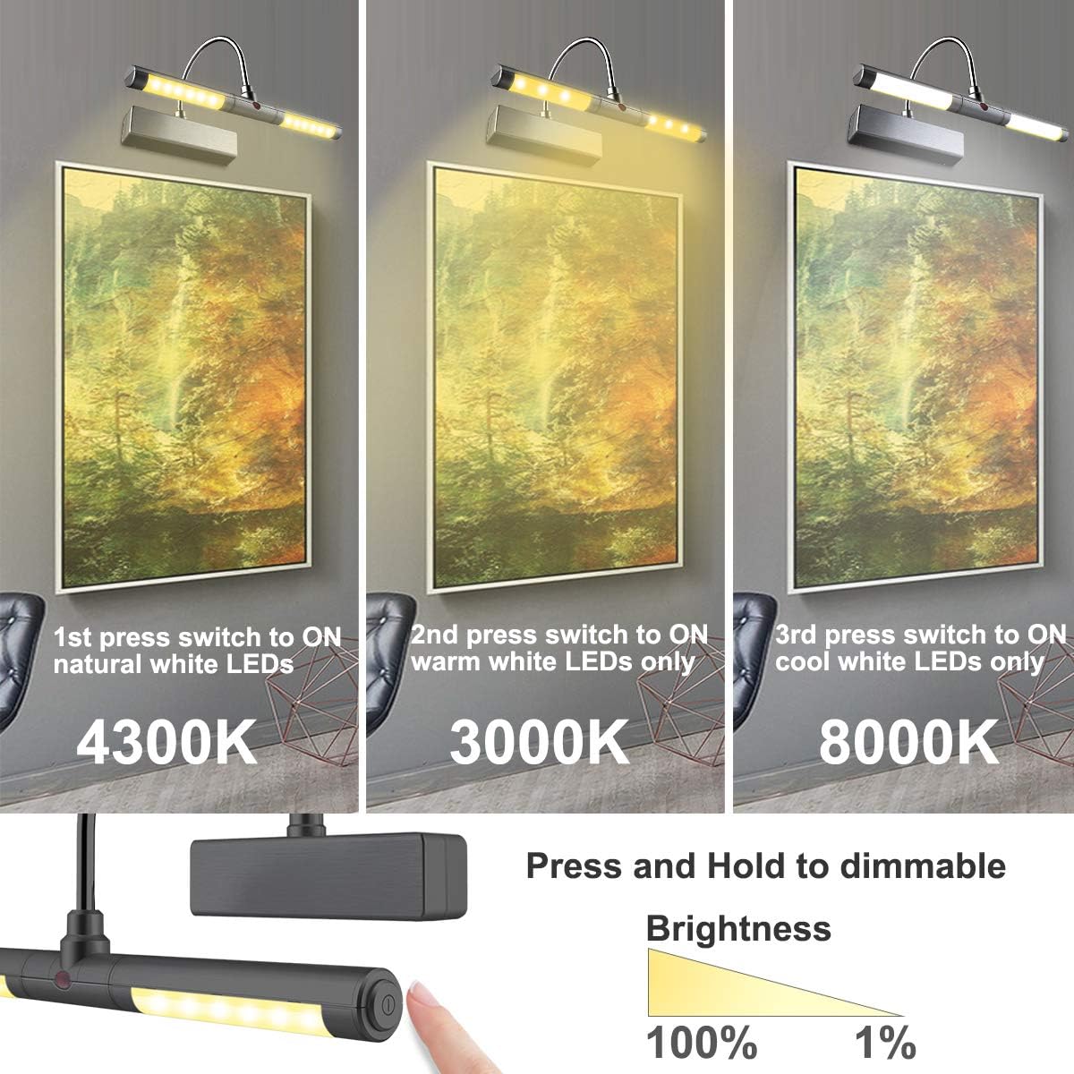LUXSWAY Picture Light Battery Powered, Wireless Painting Lights with Remote, 3 Modes Brightness Art Display Lighta, 8.9