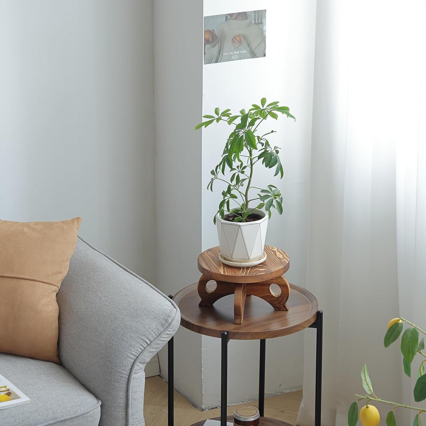 Decorative Corner Planter Wooden Plant Stands Indoor Plant Holder Riser Round Display / Brown / Pine