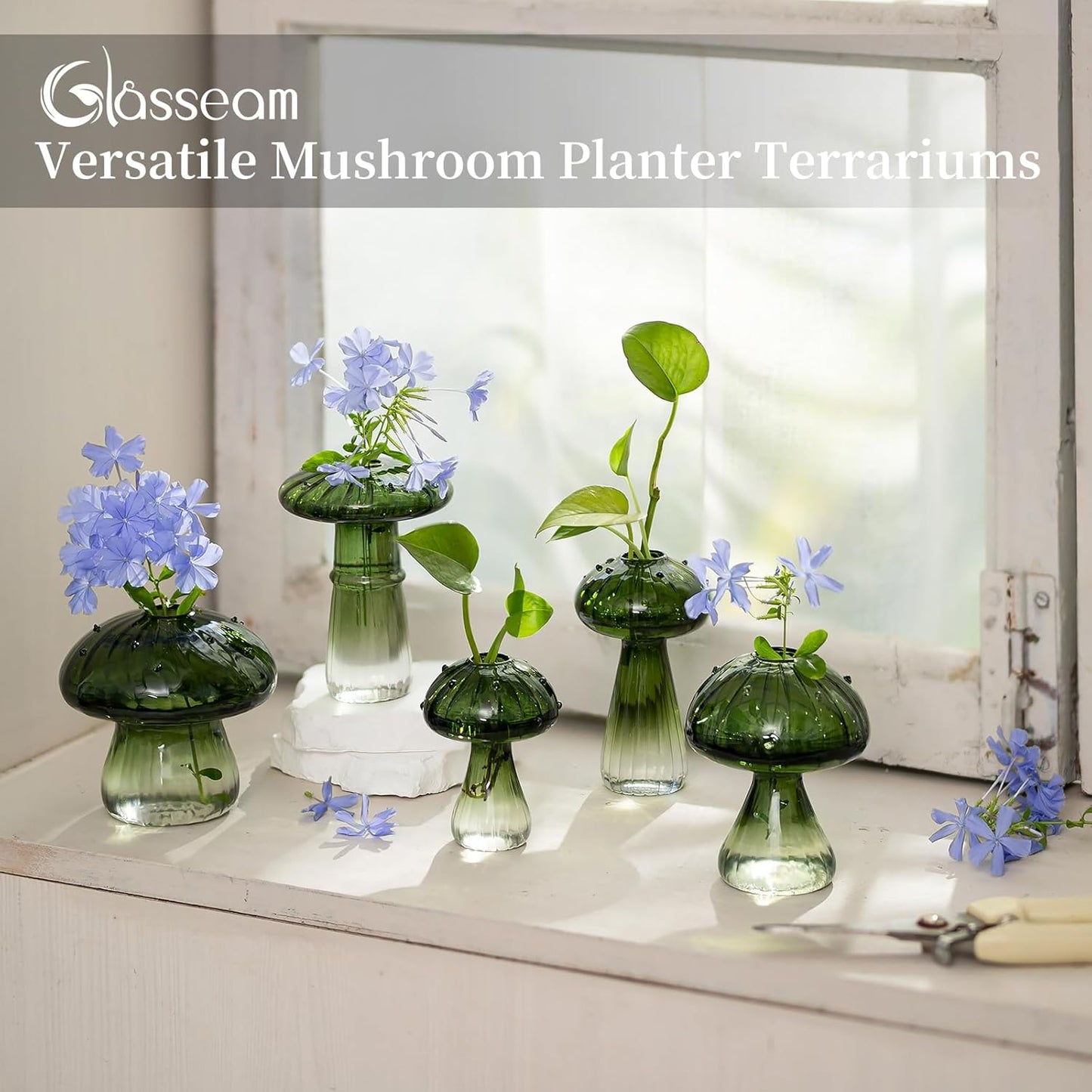 Glass Terrarium Jar Planters / Green / Set of 5
