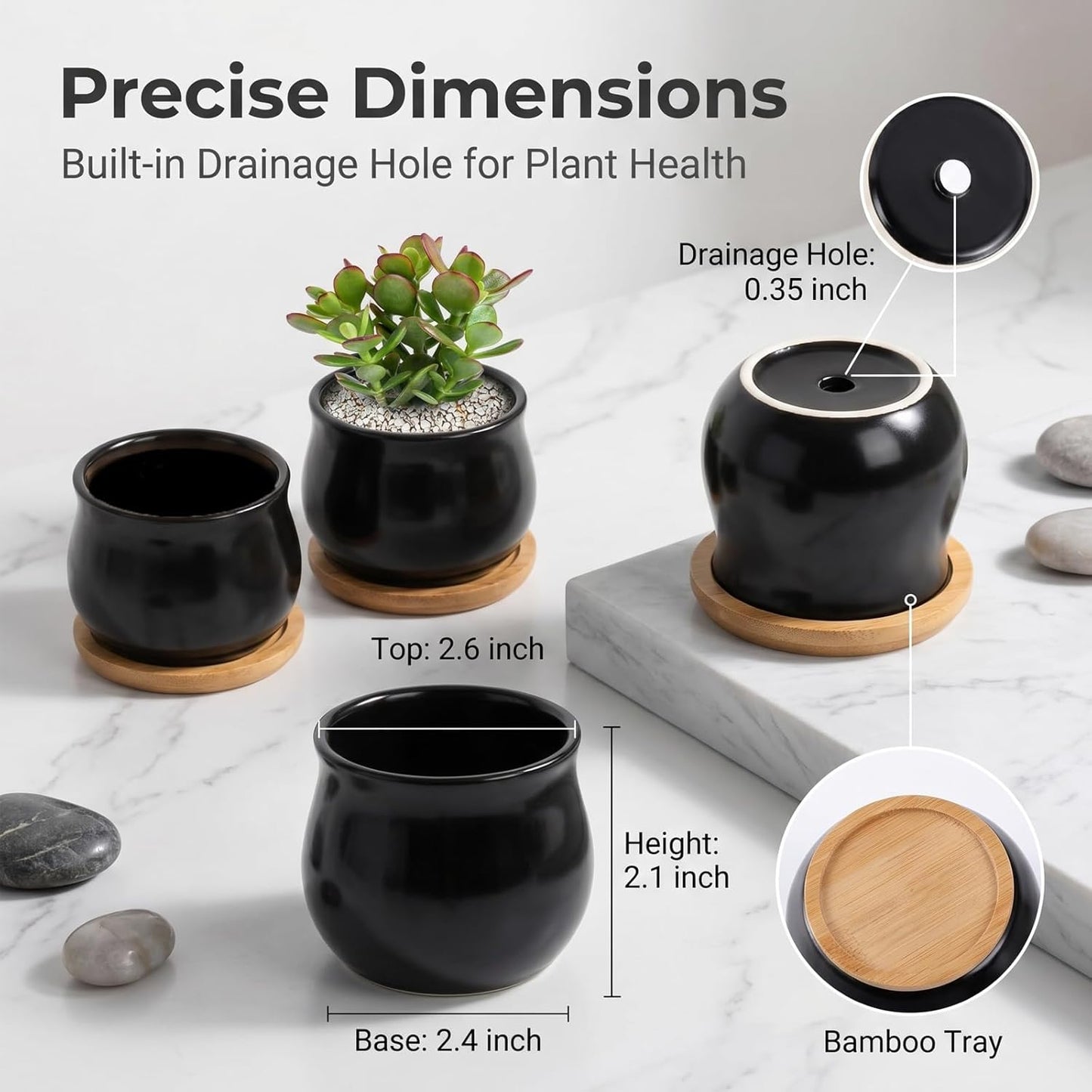 Matte Mini Ceramic Flower Planter Pot / Black / 2.6 Inch / Set of 8