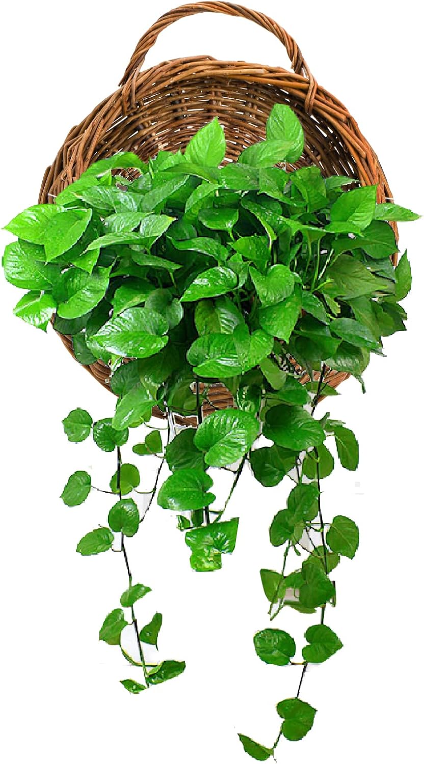 Rattan Hanging Planter / Natural