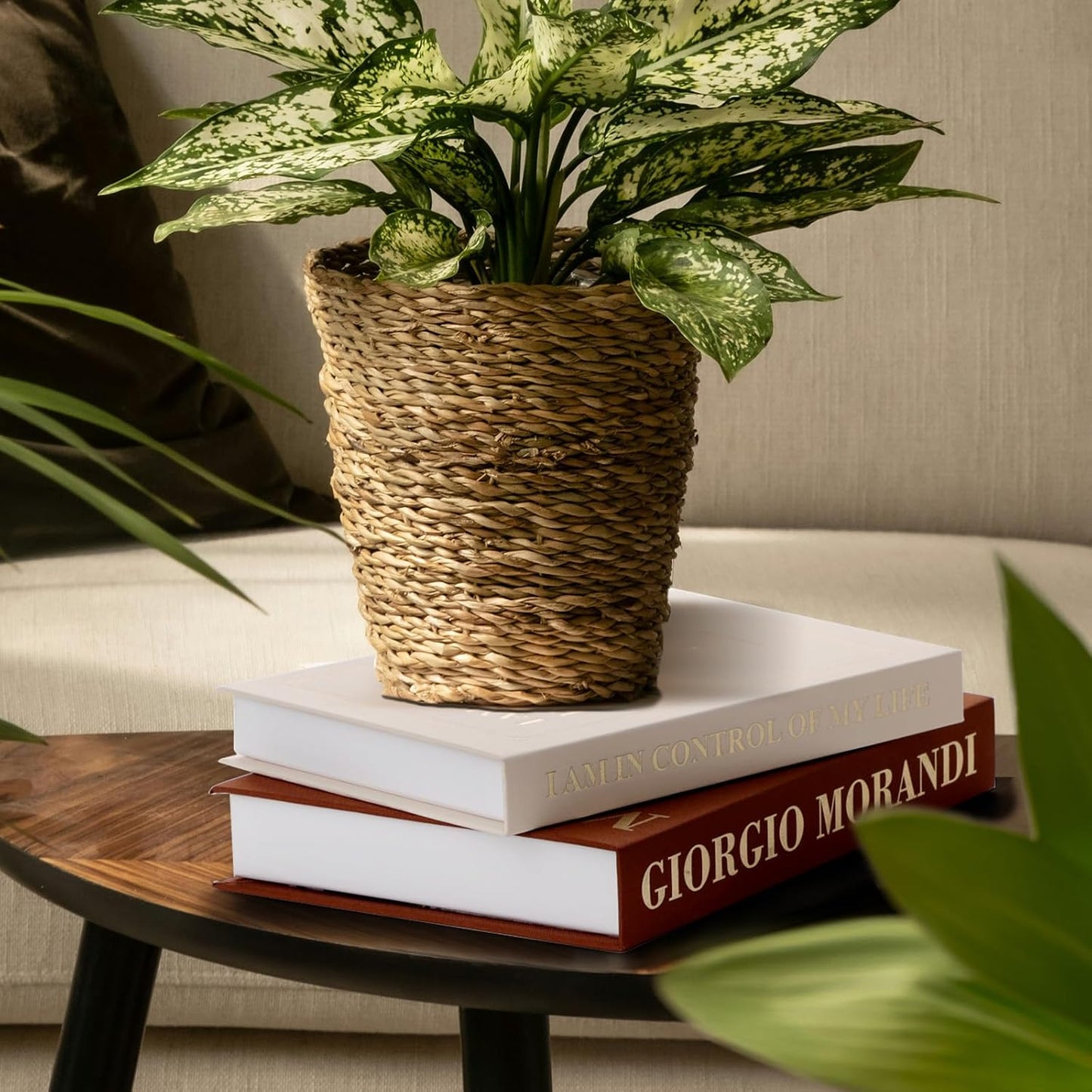 Modern Faux Decor Book for Decoration / Brown-beige