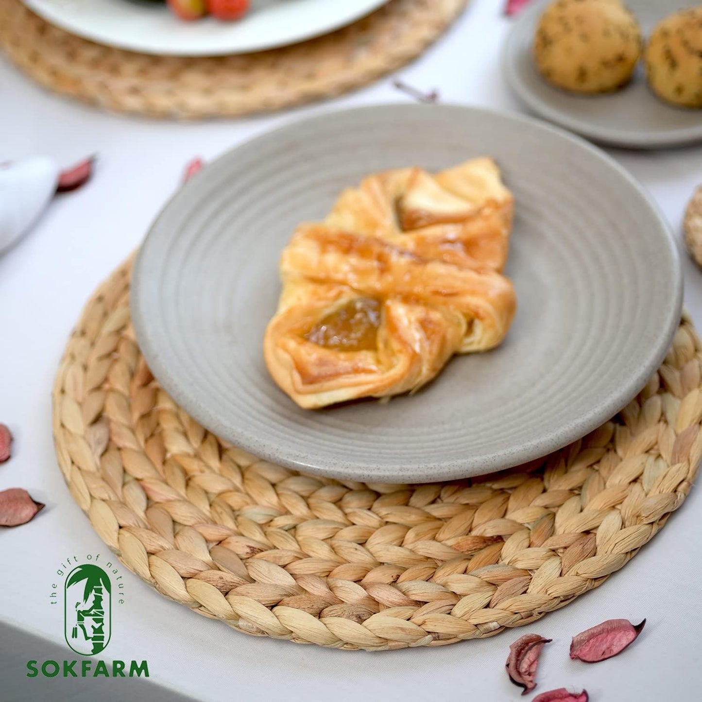 Round Woven Placemats Set of 10, Water Hyacinth Rattan Placemats 11.8 in, Small Charger Plates for Salad & Dessert