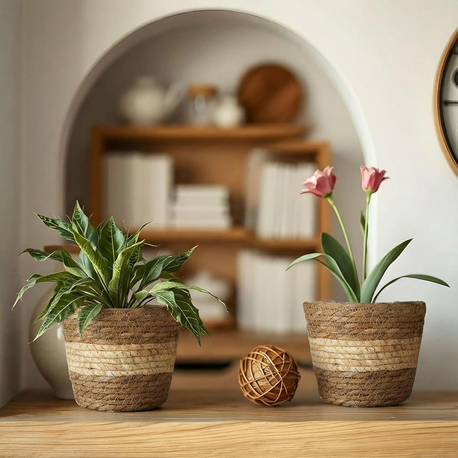 Wicker Plant Basket Bulk / Small / Bohemian / Set of 6