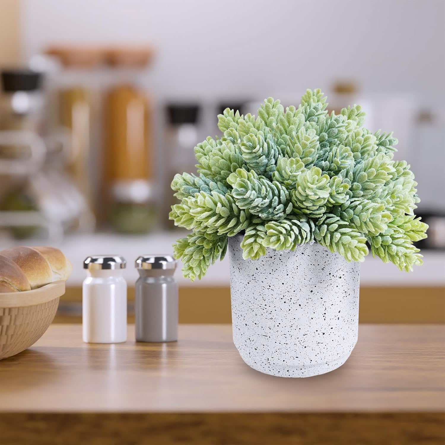 Artificial Potted Succulent Plants in Cement Planters Faux Aloe Hops String / White / Set of 3