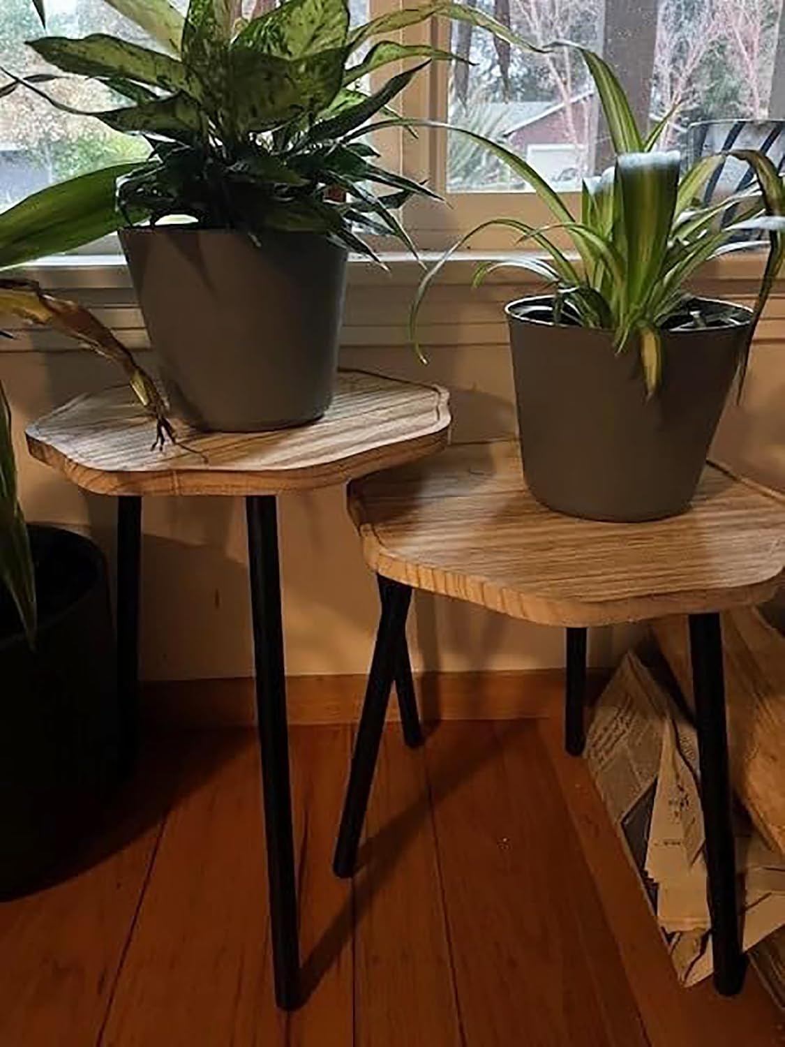 Wooden Mid Century Plant Stand Tall Plant Table Plant Holder Plant Riser for Flower / Set of 3
