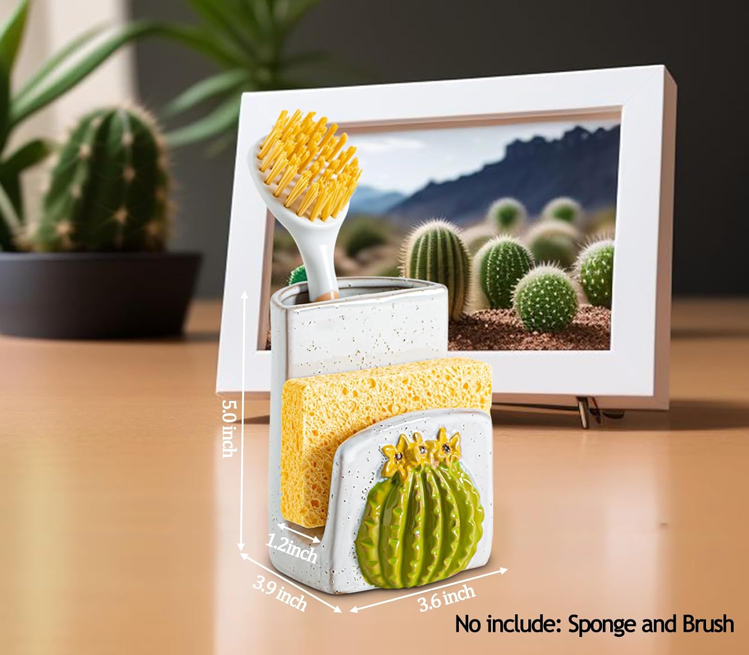 Cactus Shaped Dish Sponge Holder And Dish Brush Holder In 1 Sink Holder For Brush / 2 Inch
