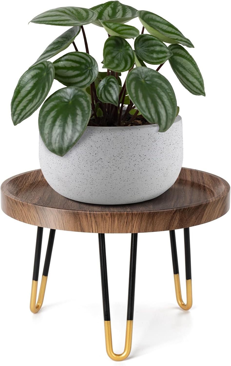 Plant Stand Indoor Outdoor, Mid Century Style Walnut Wood Color Plant Stand,Waterproof Design Modern Plant Table,Easily