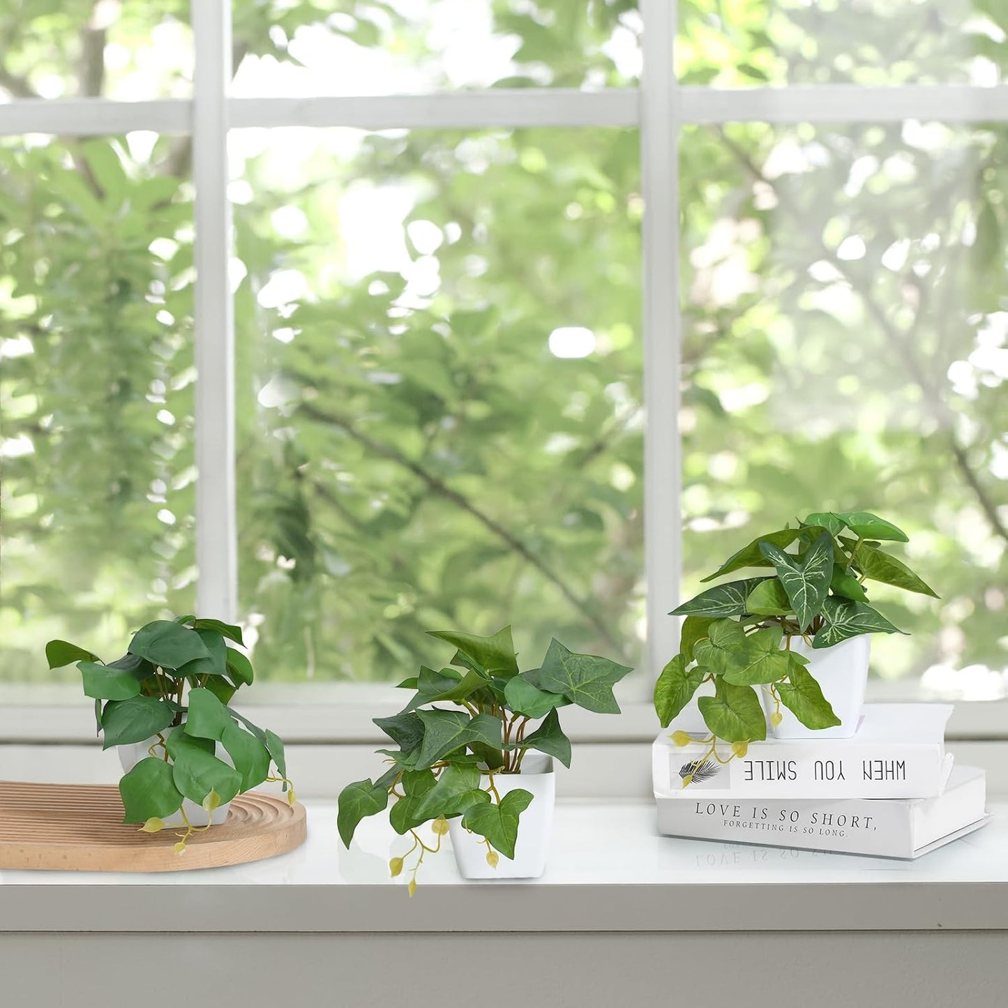 Small Artificial Plants / White