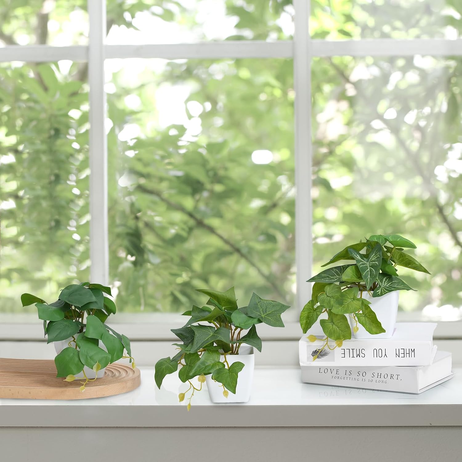 Small Artificial Plants / White