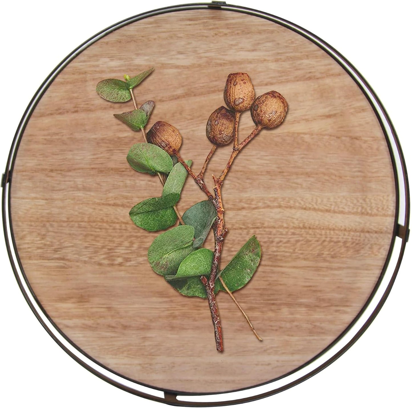 Metal Handle-Decorative Trays / Brown / 12 Inch