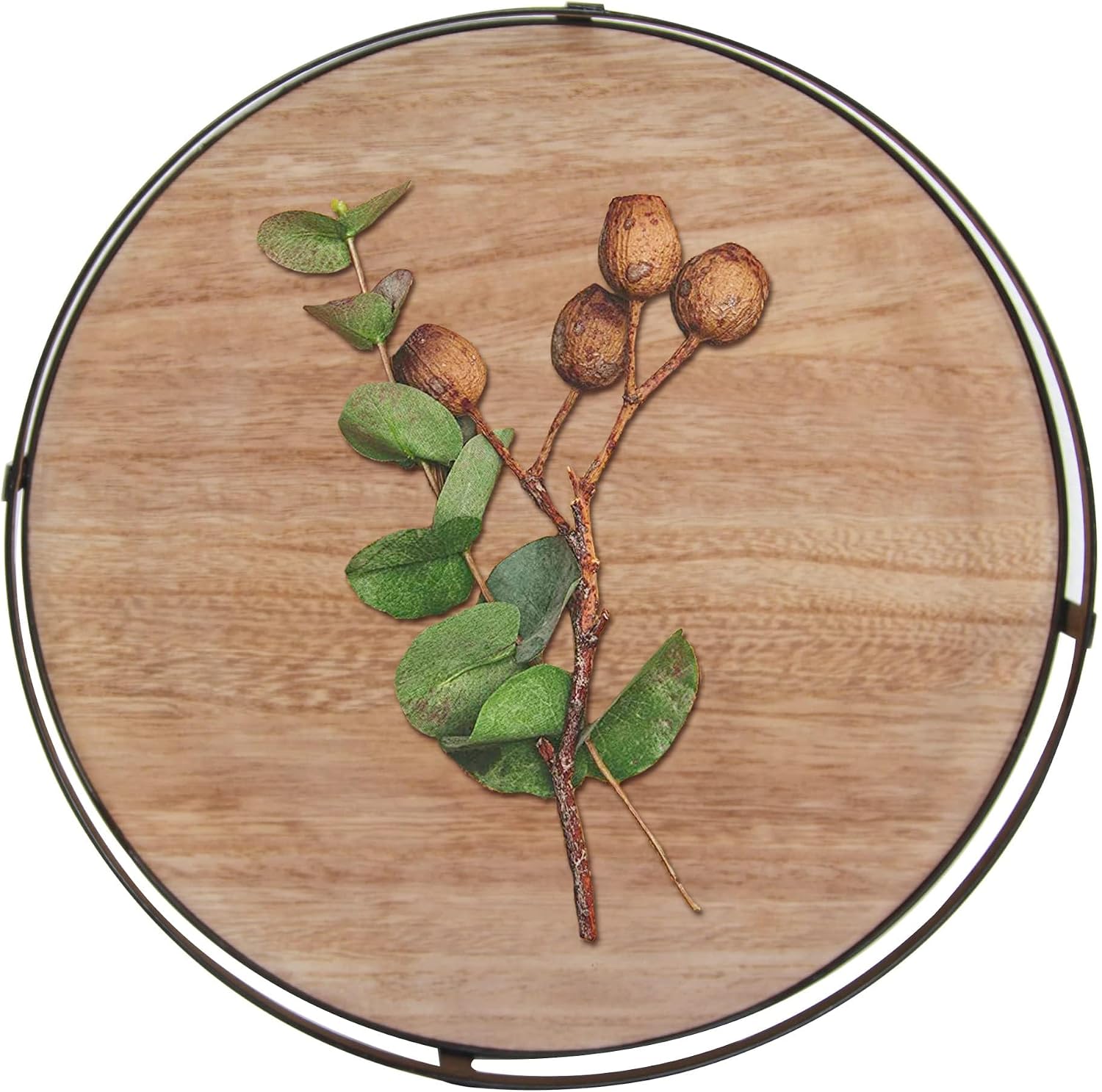 Metal Handle-Decorative Trays / Brown / 12 Inch
