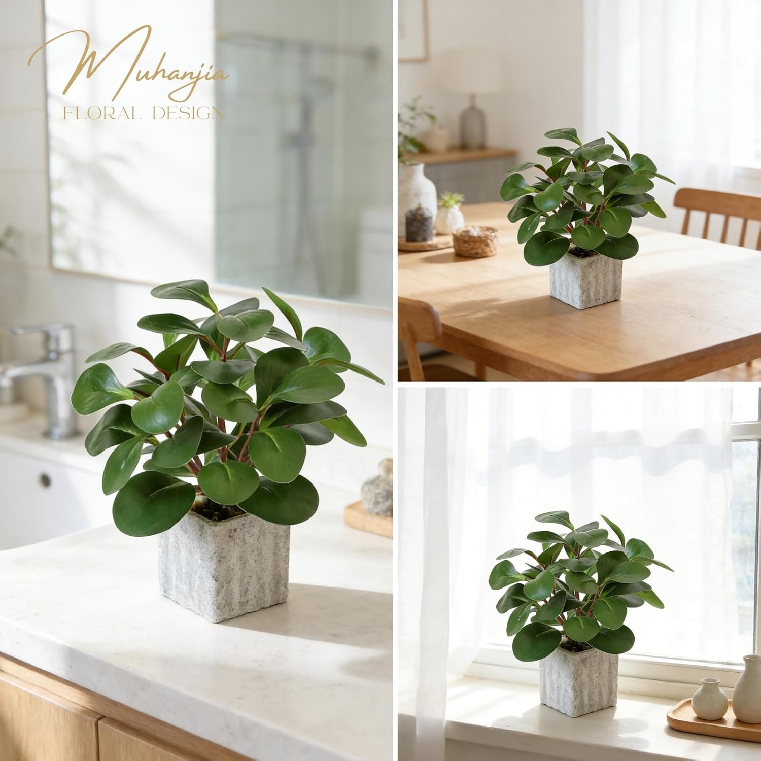 Artificial Potted Plant / Peperomia