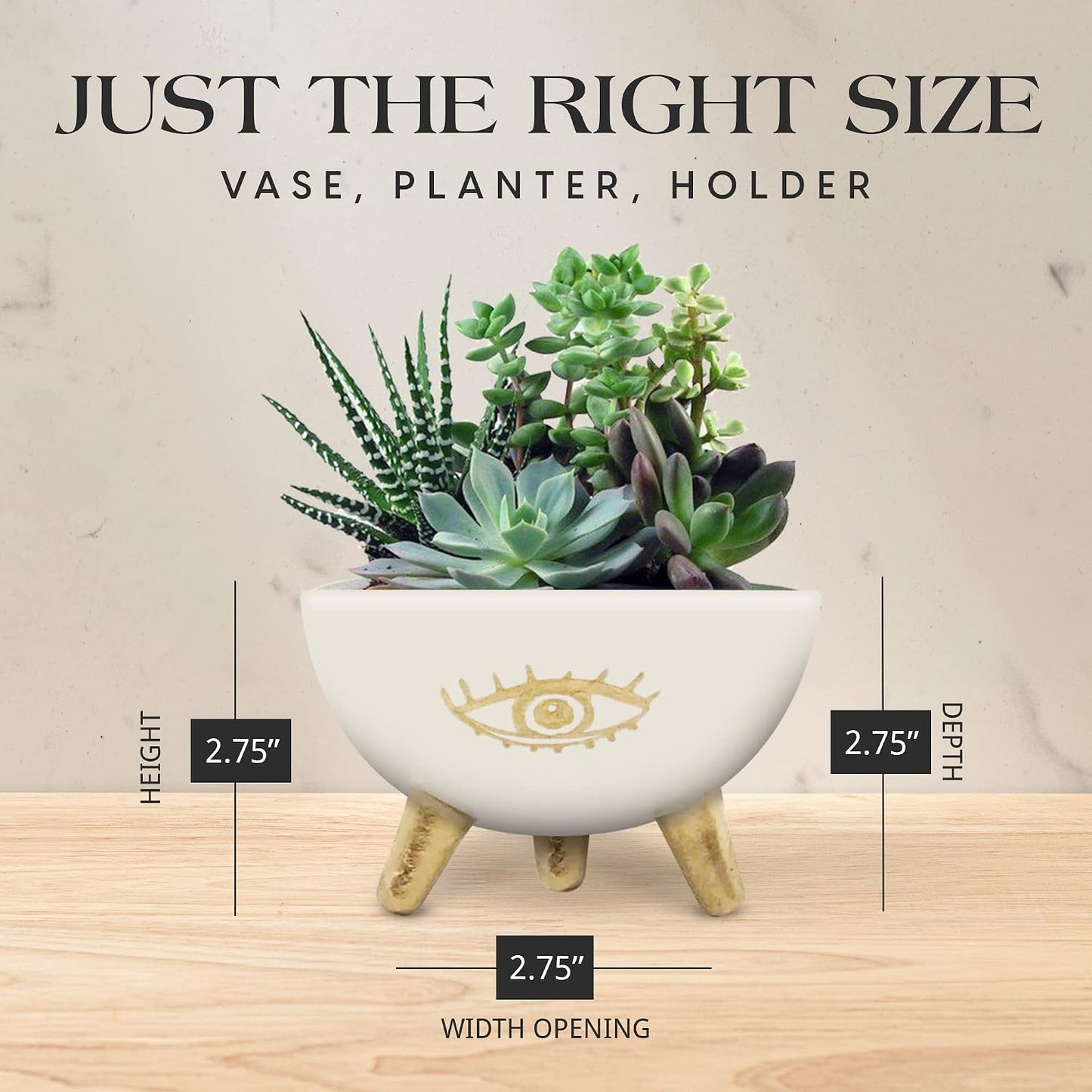 Modern Table Top Planter and Ceramic Jewelry Dish / Gold