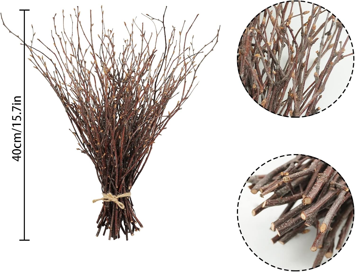 Birch Sticks for Vases / Birch-1 Bundle / Natural / 17 Inch / Set of 50