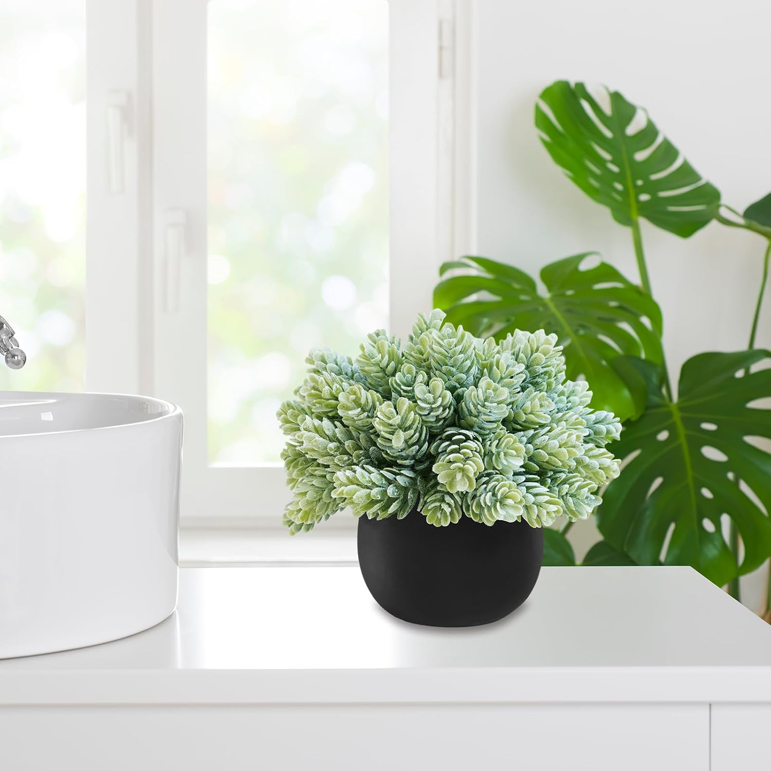 Artificial Succulent Plants in Black Concrete Pots Faux Aloe Hops String / Black Pots / Set of 3