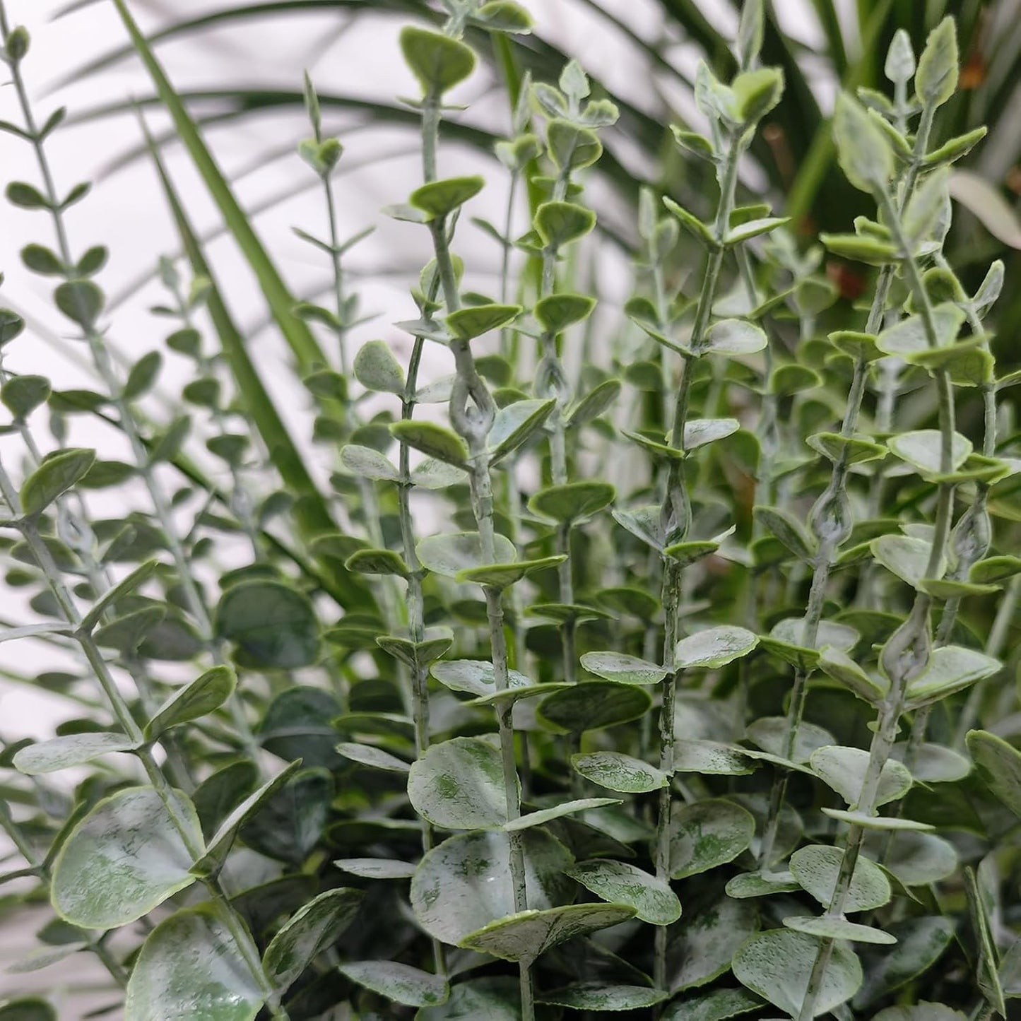 Artificial Eucalyptus Stems Fake Eucalyptus Greenery Branches for Floral Arrangements / Set of 50