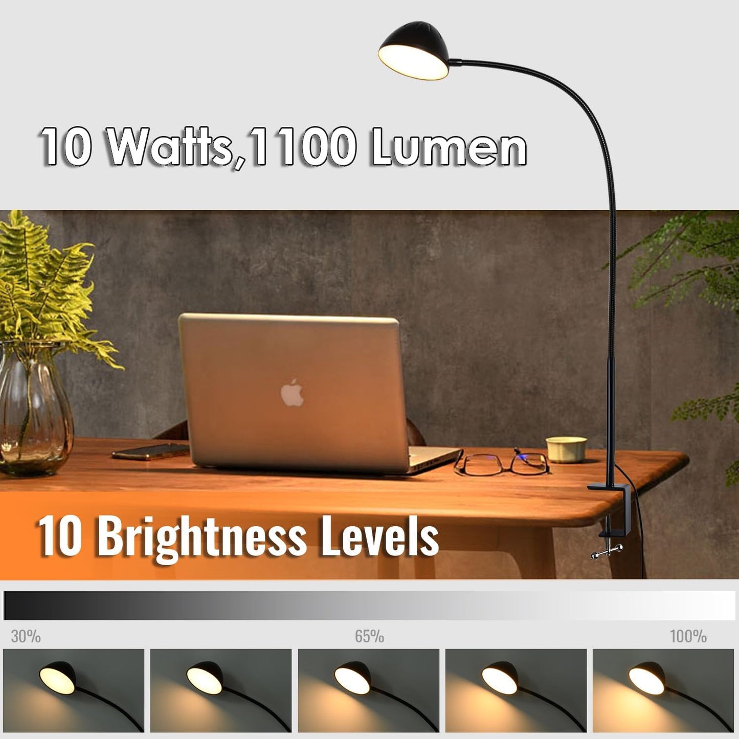 Long Gooseneck Clamp Lamp, Clip Desk Lamp with Clamp, 10W, 1100 LMS, 3 Color Modes, 10 Brightness Levels, 31 Inches