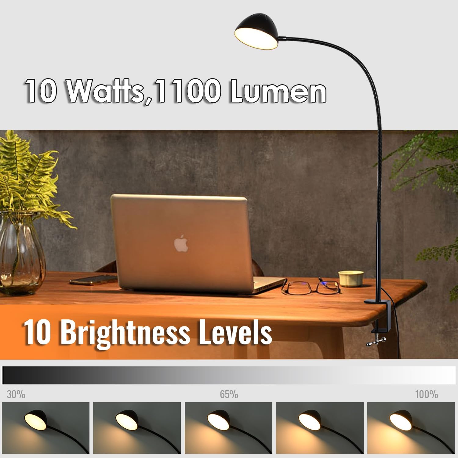 Long Gooseneck Clamp Lamp, Clip Desk Lamp with Clamp, 10W, 1100 LMS, 3 Color Modes, 10 Brightness Levels, 31 Inches