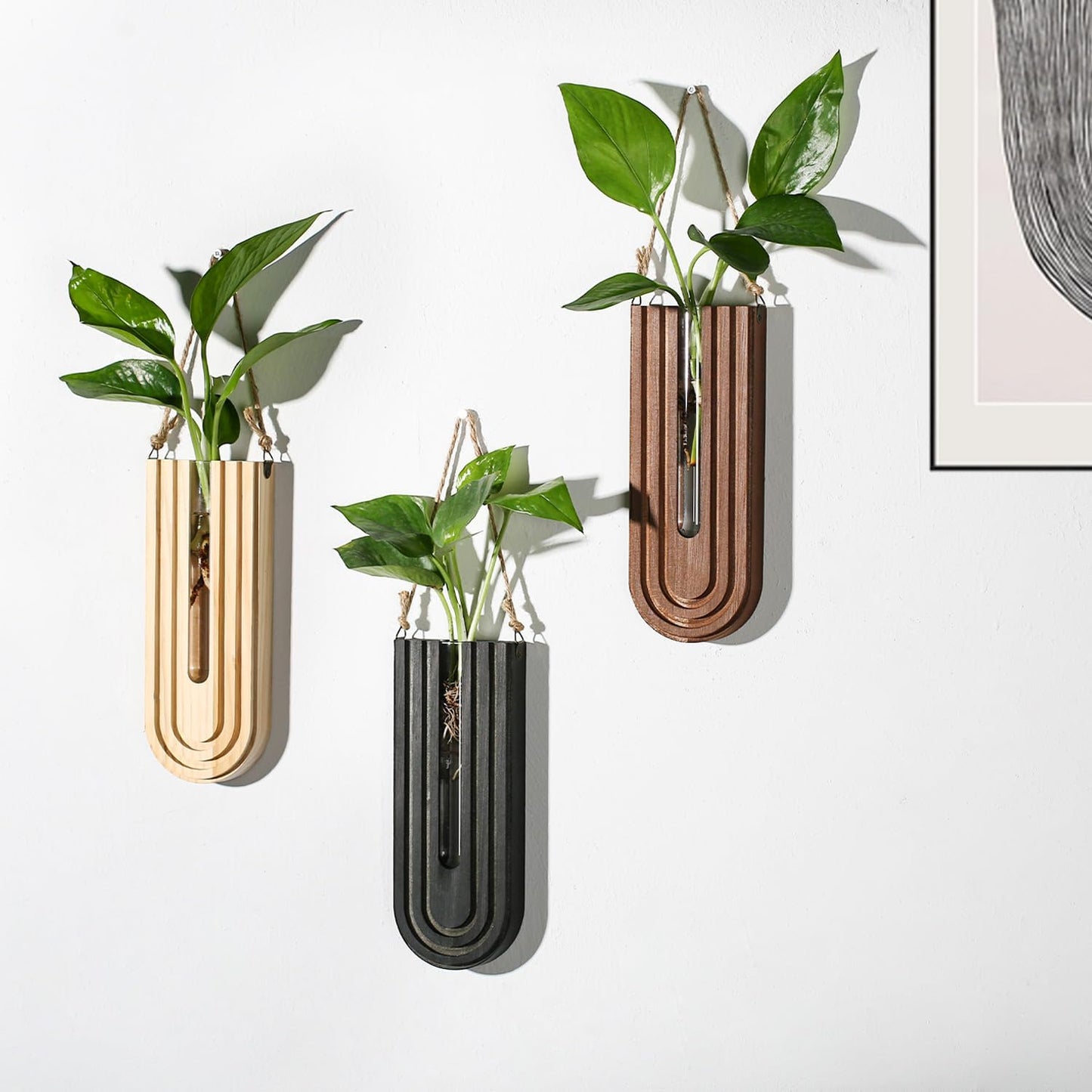 Indoor Wood Wall Planter for Plants / Black + Brown + Dark Brown / Set of 3