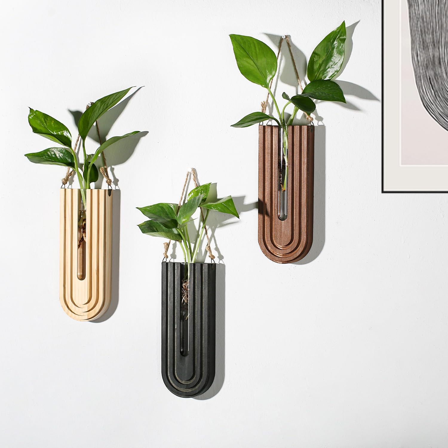Indoor Wood Wall Planter for Plants / Black + Brown + Dark Brown / Set of 3