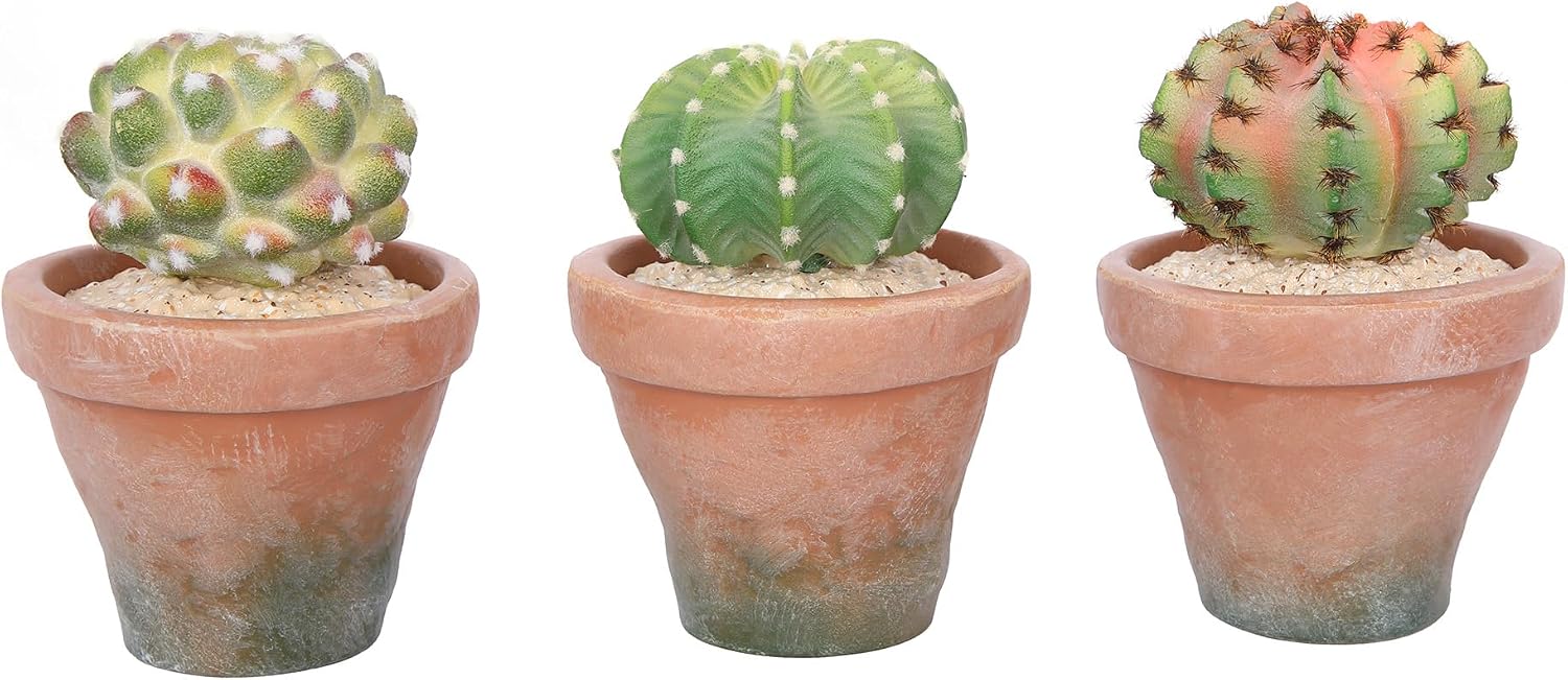 Lifelike Artificial Succulent Plants / Succulent A-3.6in Pot / White / 5.6 Inch