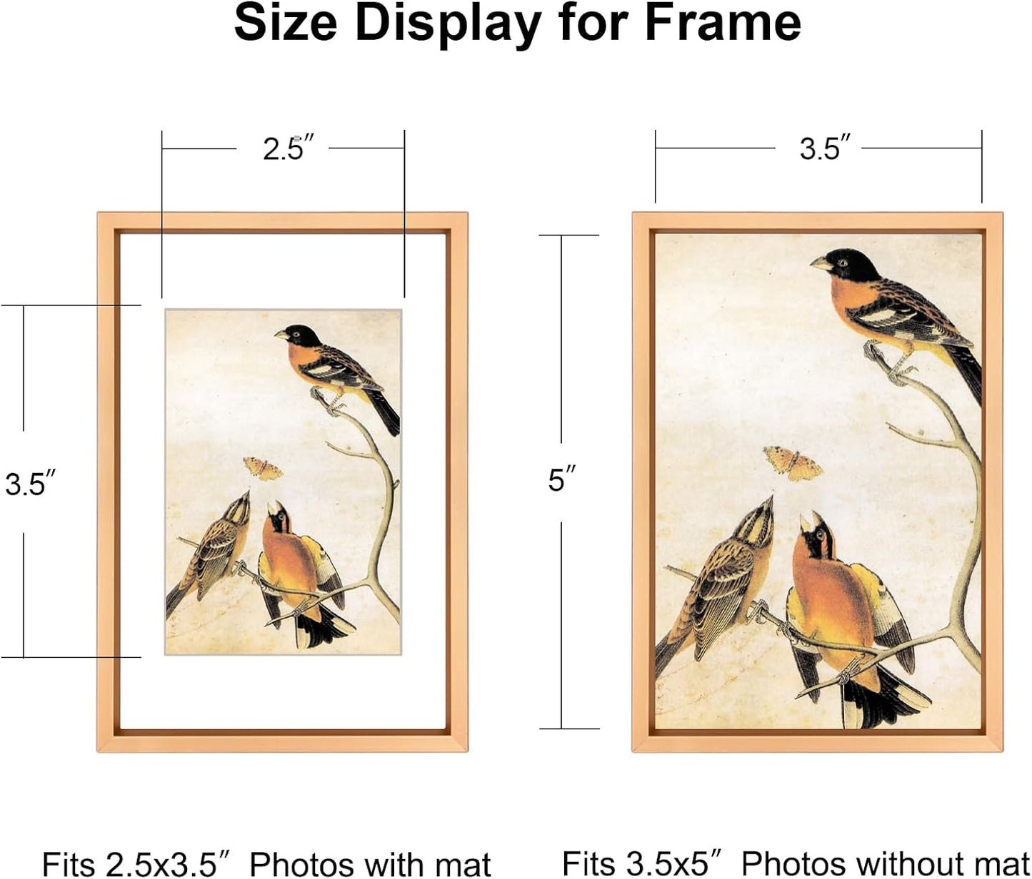 BKABOT 3.5x5 Gold Photo Frame HD Glass 3 Pack 2.5x3.5 Mat Tabletop & Wall | Brushed aluminum Picture frame, removable