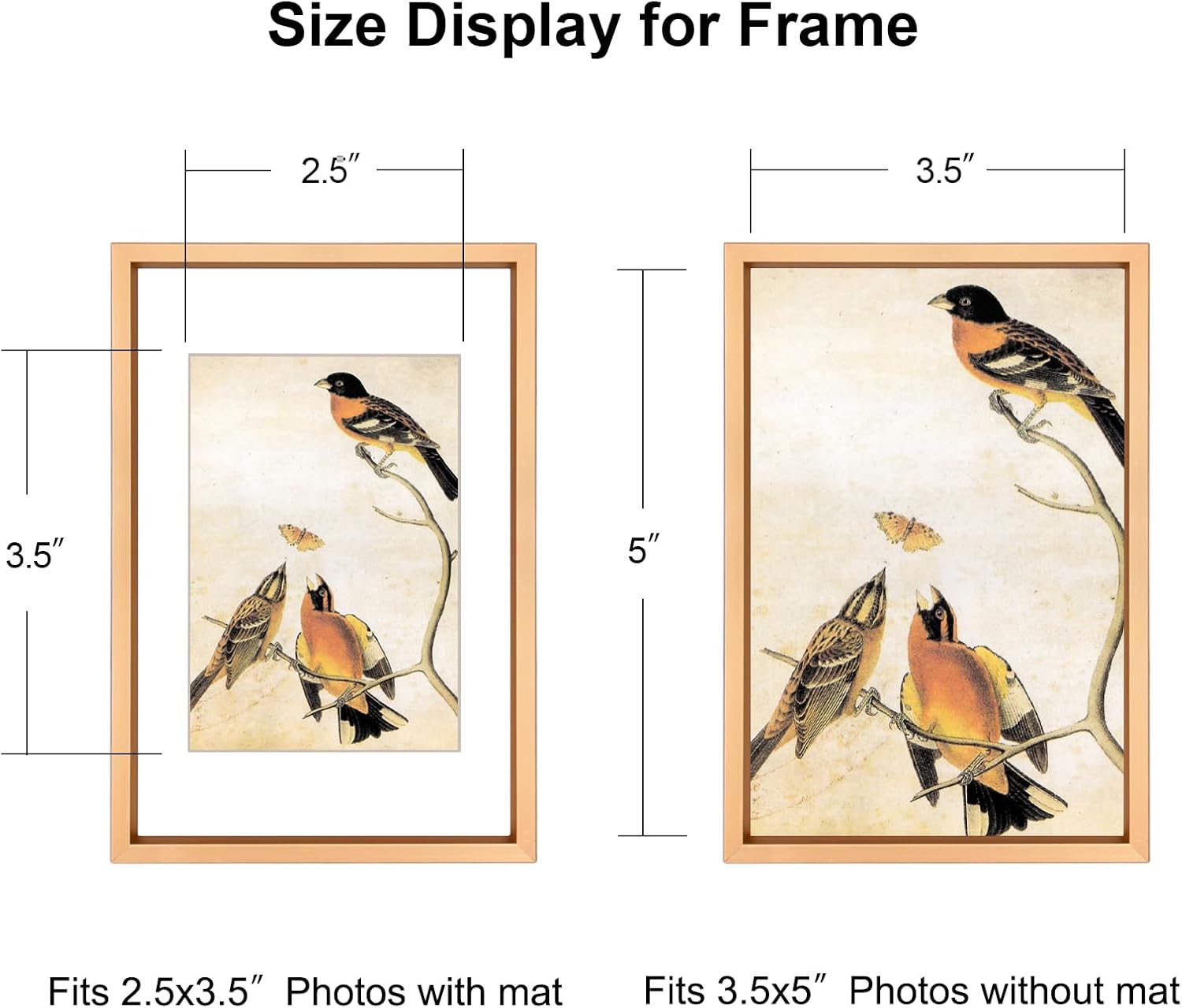 BKABOT 3.5x5 Gold Photo Frame HD Glass 3 Pack 2.5x3.5 Mat Tabletop & Wall | Brushed aluminum Picture frame, removable