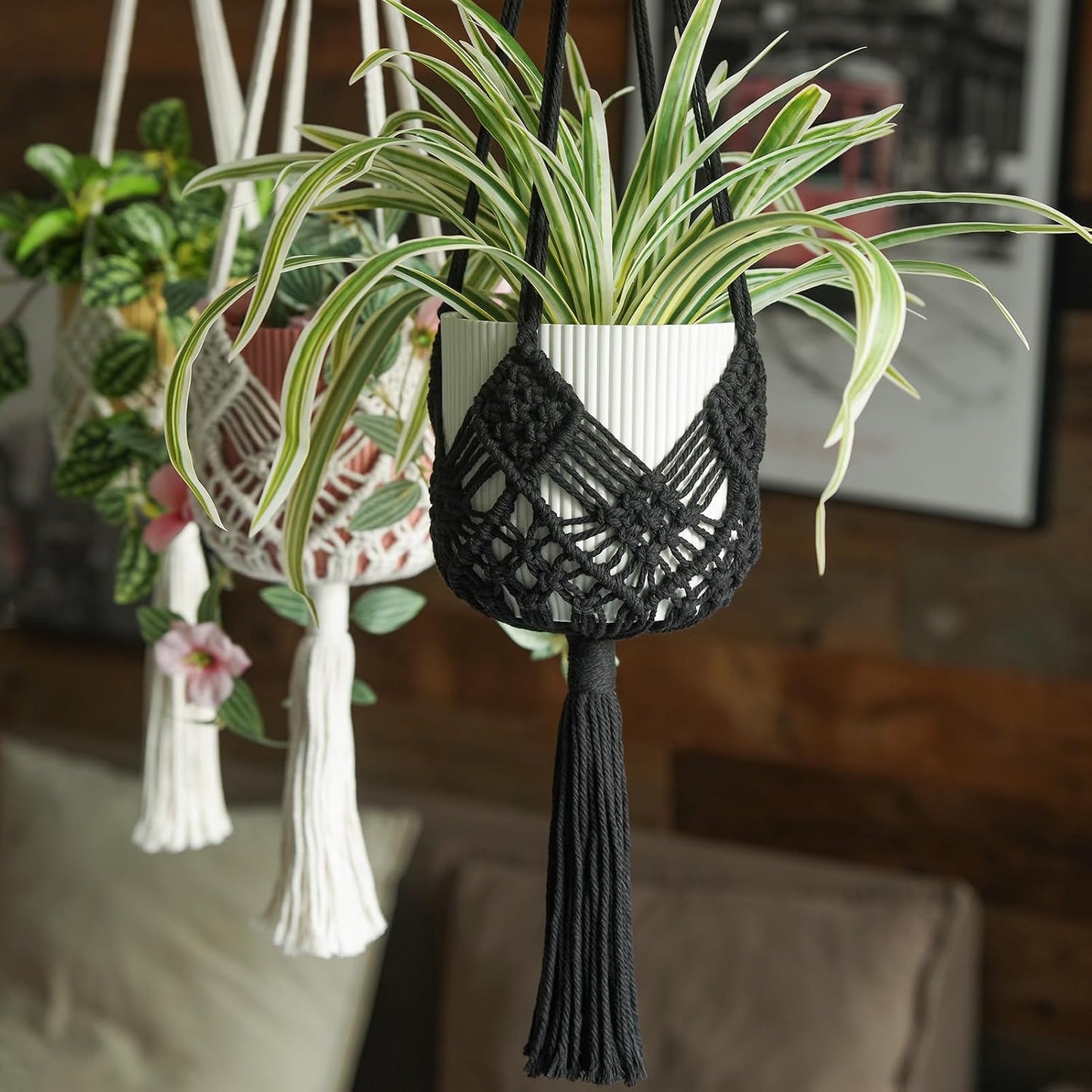 Boho Hanging Planters / Black Hanger / 10 Inch / Set of 8