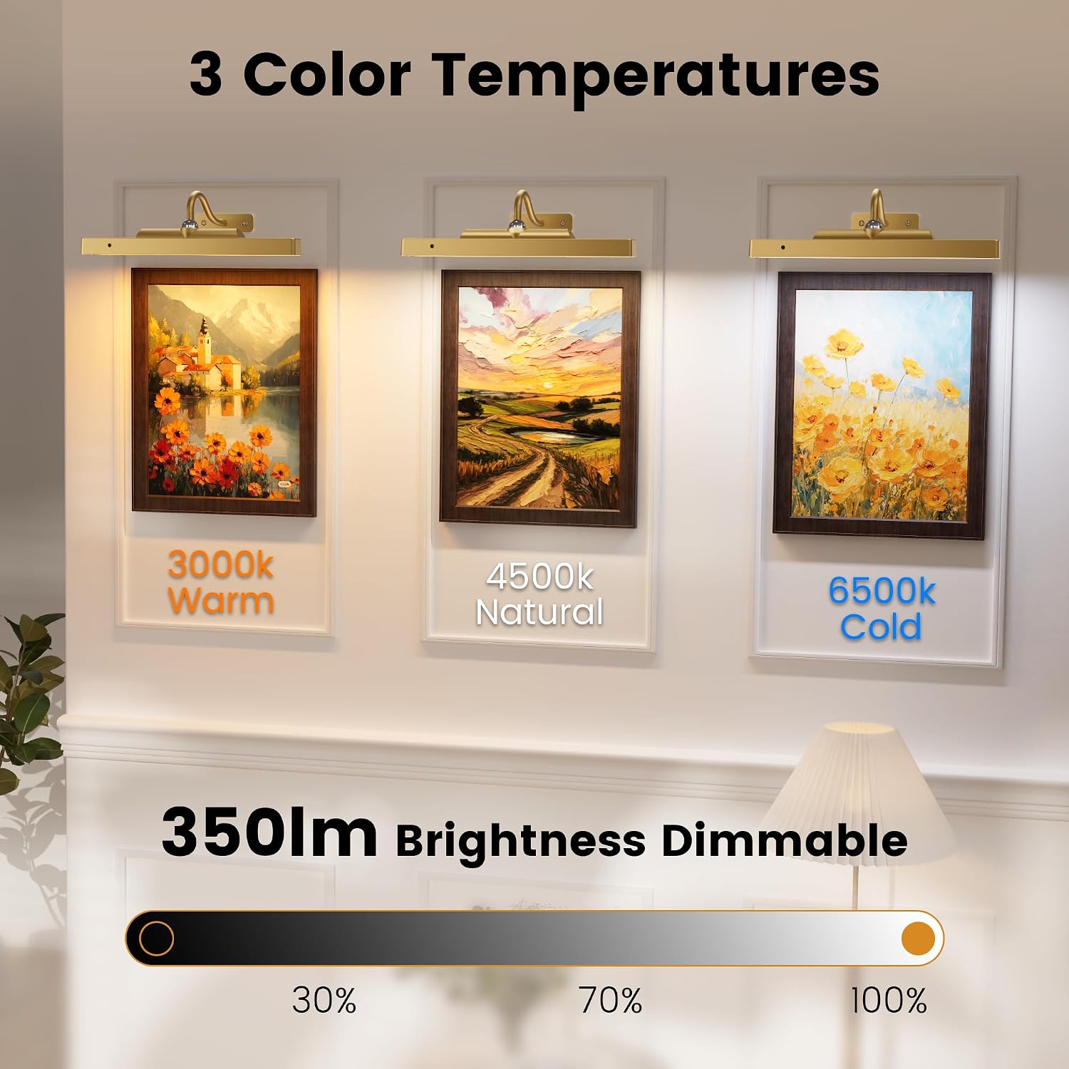 4 Pack Art Light Set, 12" Wireless Battery Picture Lighting, Remote Control Timer 3 Color Temps for Bedroom,Hallway
