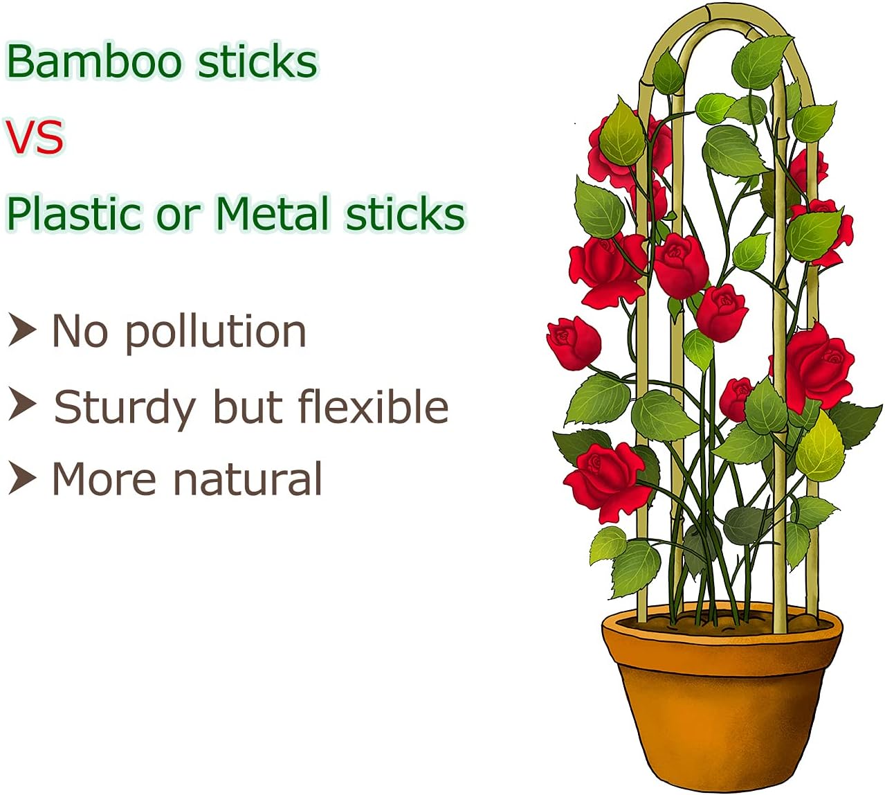 Cambaverd Bamboo Trellis 3 Feet, 3 Pack Arch Plant Trellis Indoor Outdoor | Natural Large Garden Trellis for Climbing