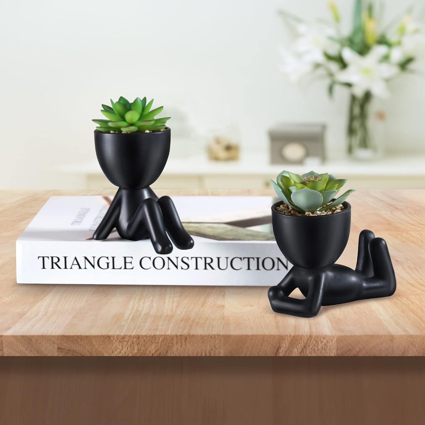 Mini Succulents Plants Artificial in Black Modern Human Shaped / Black Ceramic Pot A Green Succulent