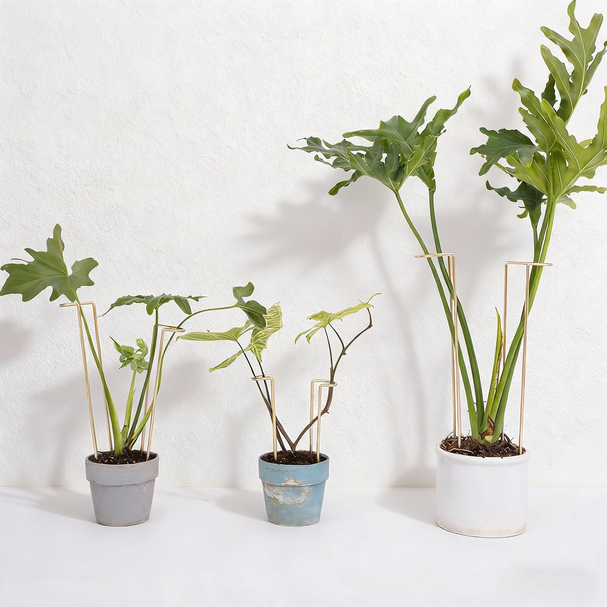 8.7 Inch Indoor Plant Trellis 10 Pack Small Gold Plant Supports | Plant Support Stakes for Indoor & Outdoor Plants