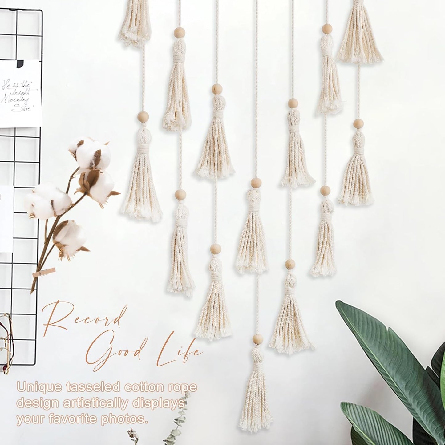 Picture Holder / Macrame Hanging Photo Display / White