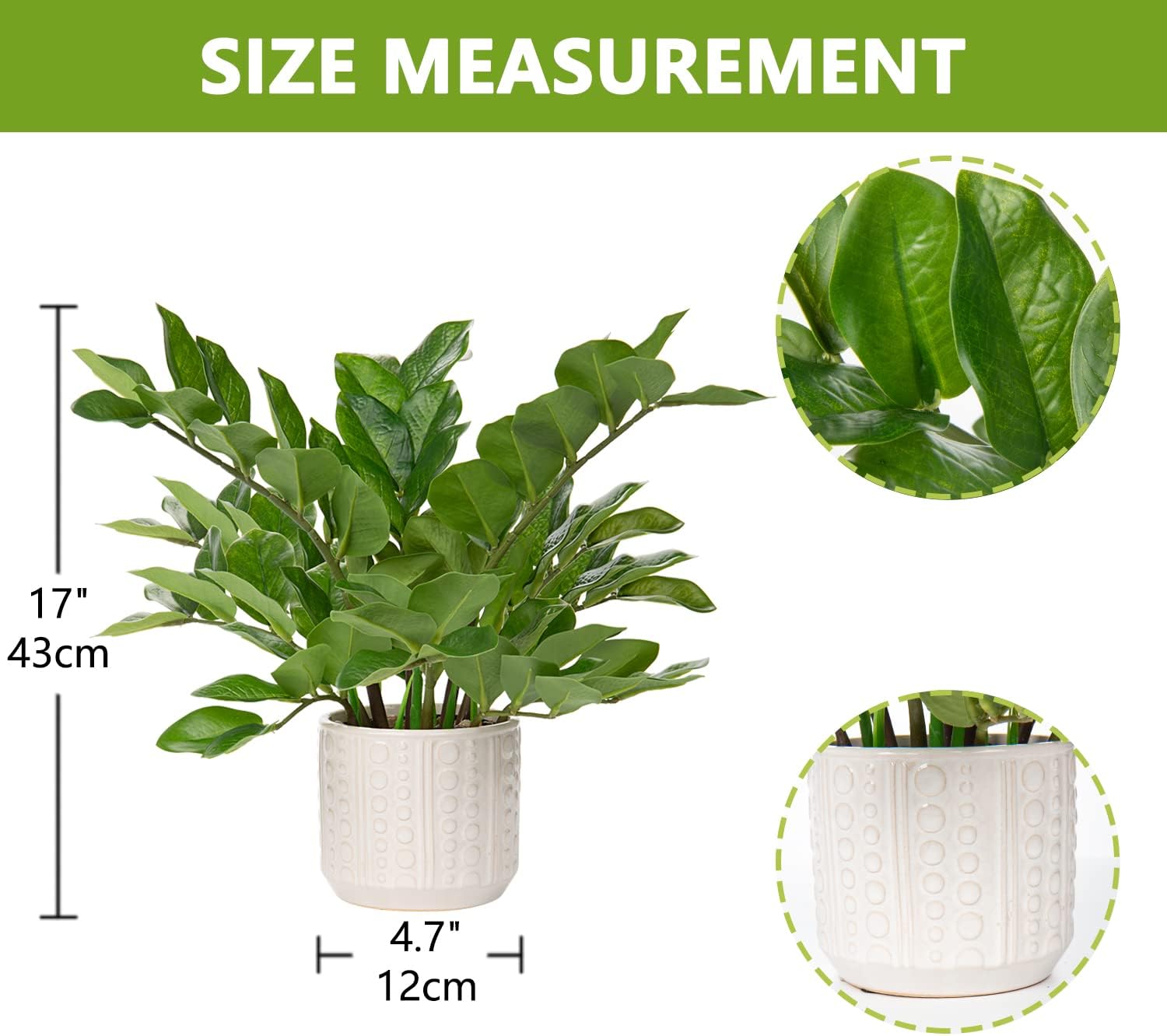 Faux Plants Indoor 17" Artificial ZZ Plants in Ceramic Pot Fake / Faux Plants with Ceramic Pot
