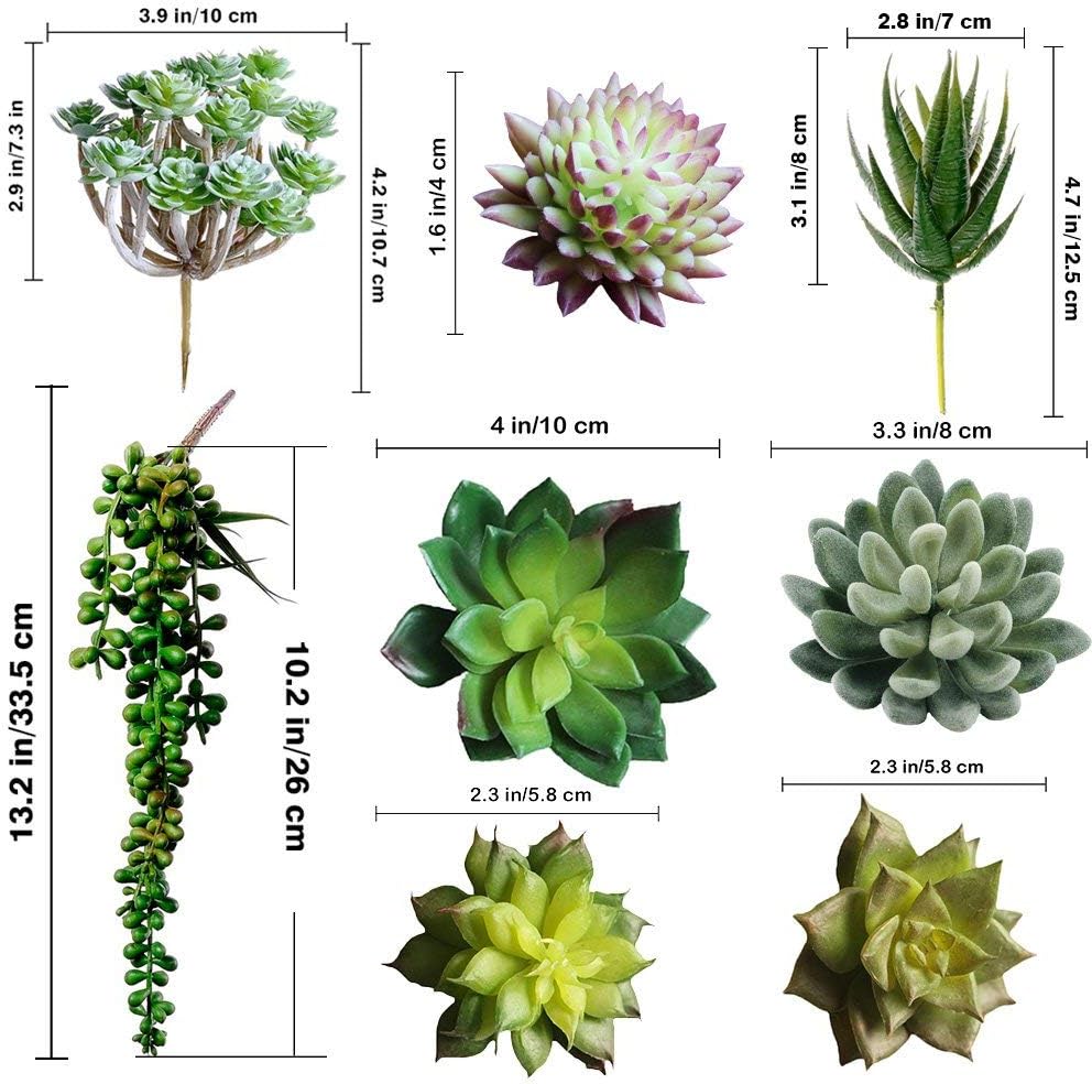 Winlyn Unpotted Fake Succulents Assorted Faux Succulent in Different Artificial / Green / Set of 6