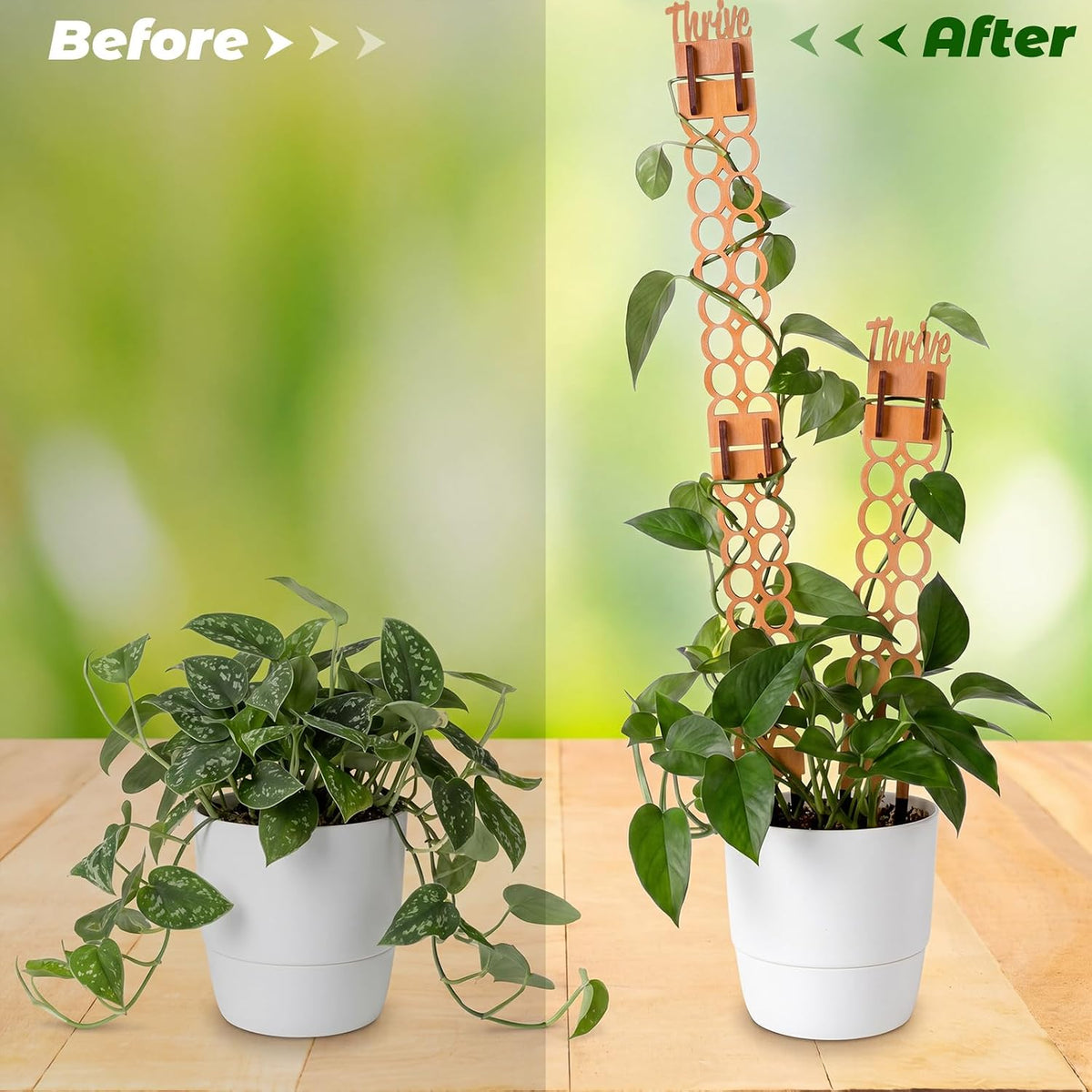 6 Sets Wooden Extendable Plants Trellis Indoor Modular Plant Trellis with Wood Thrive Sign Decor and Extensions for