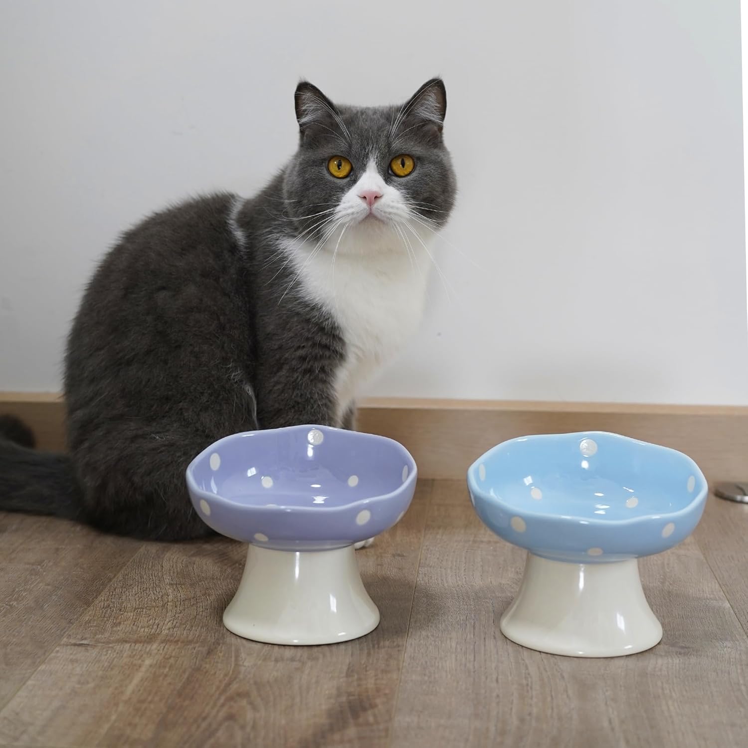 Elevated Ceramic Bowl for Cats / Purple