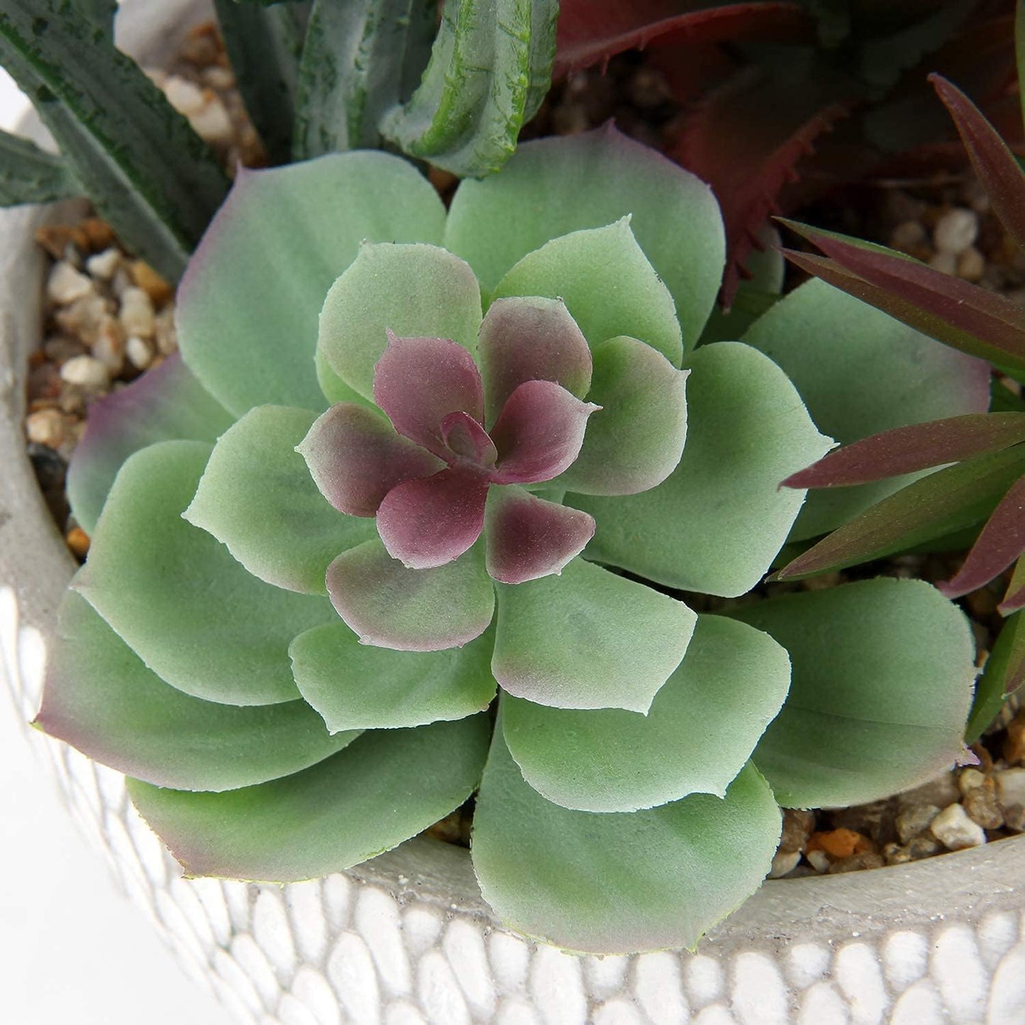 Small Fake Plants Assorted Faux Succulents in Pots Realistic Succulents Plants / Succulent #06