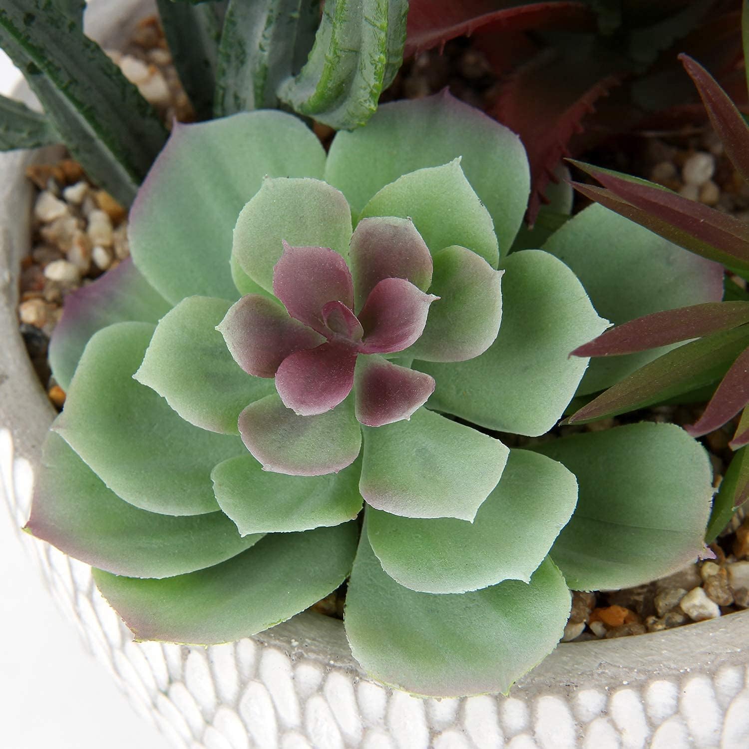 Small Fake Plants Assorted Faux Succulents in Pots Realistic Succulents Plants / Succulent #06