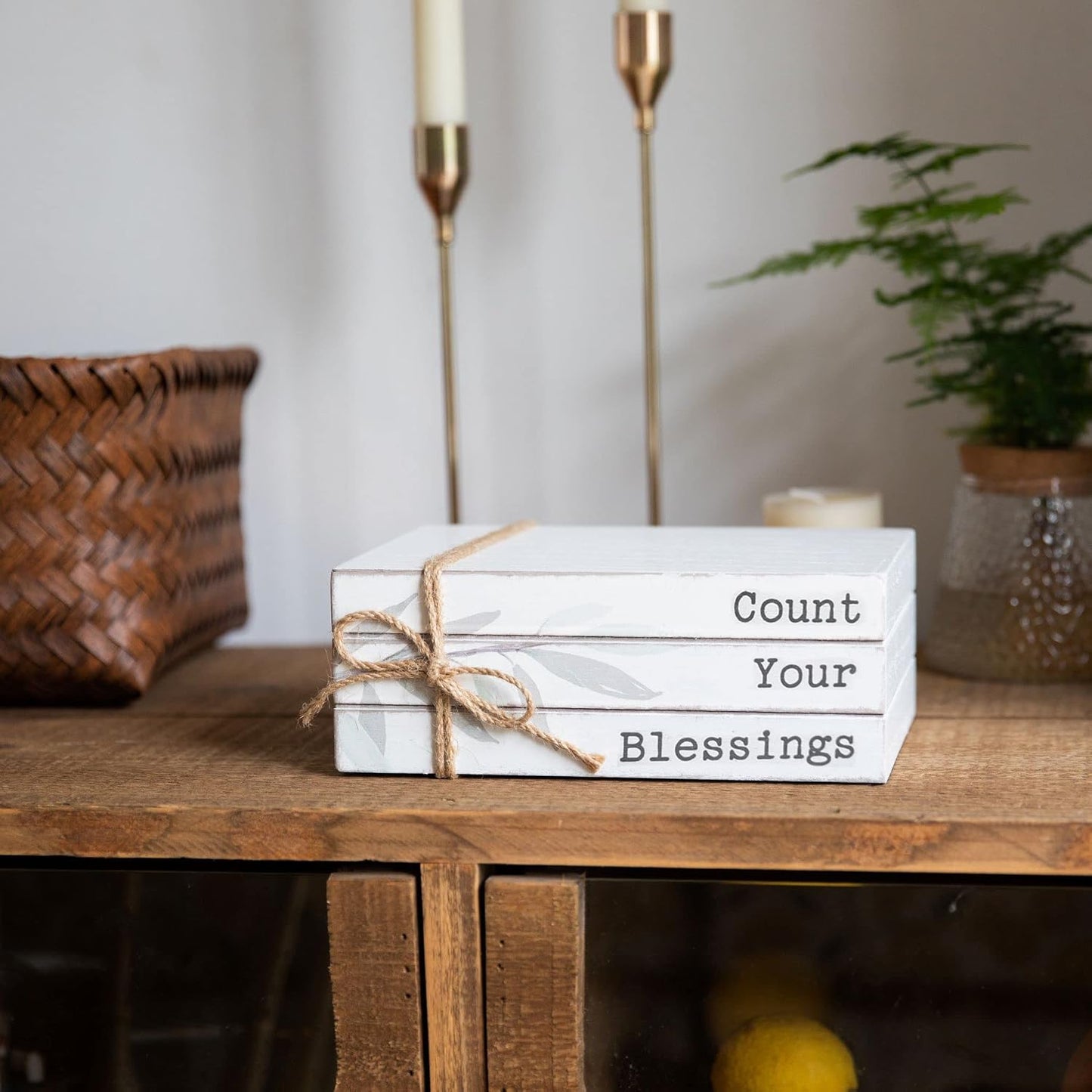 GENMOUS Faux Decorative Books Set / Bless / White