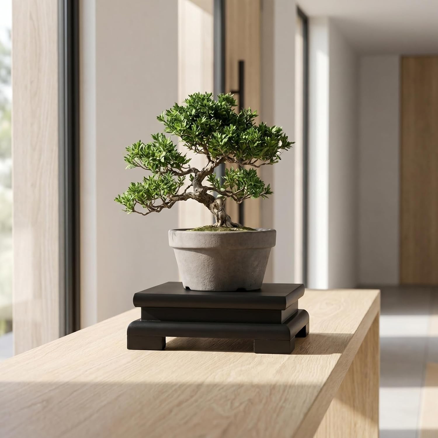 Wooden Pedestal Stand / Black