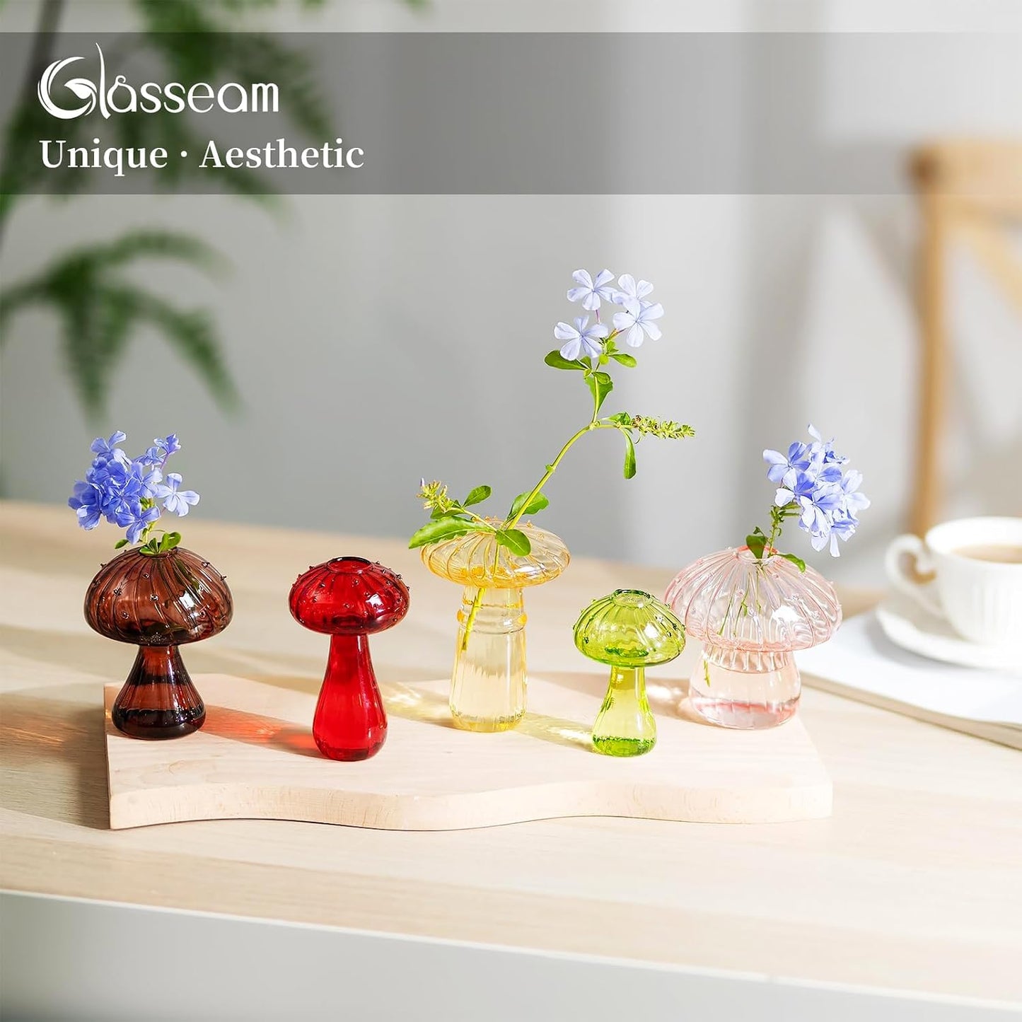 Glass Terrariums for Plants / Colorful / Set of 10