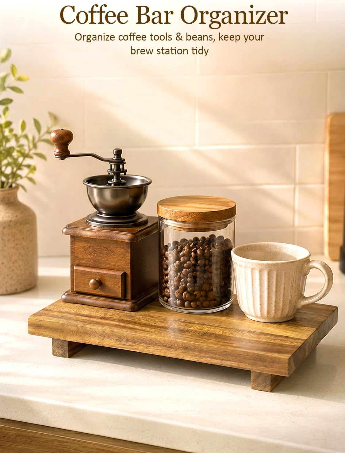 Acacia Wood Pedestal Stand / 12 x 7