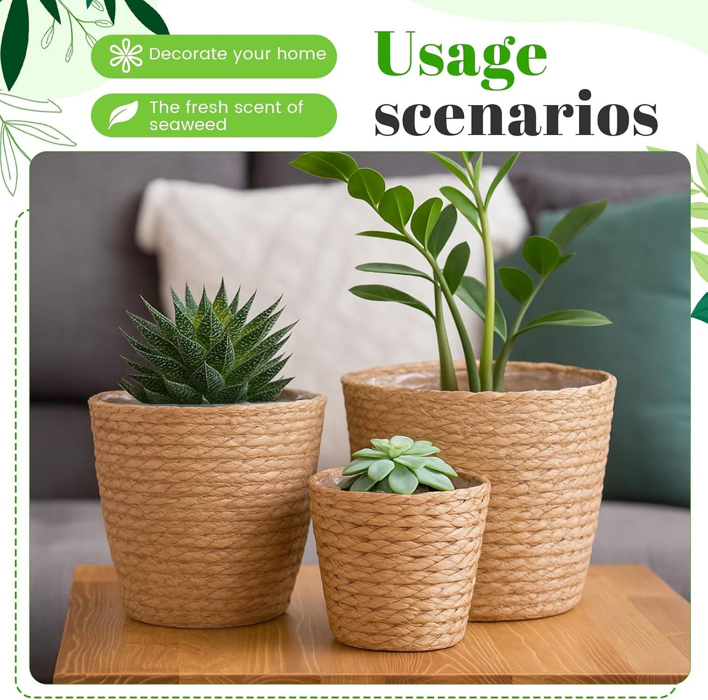 Seagrass Plant Basket Indoor / Set of 3