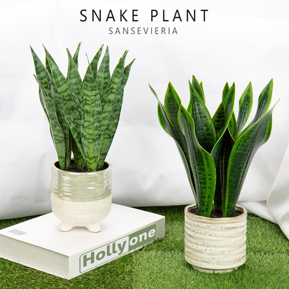 Ceramic Pot Faux Sansevieria Plant / Green-12" Style 1 / 12 Inch